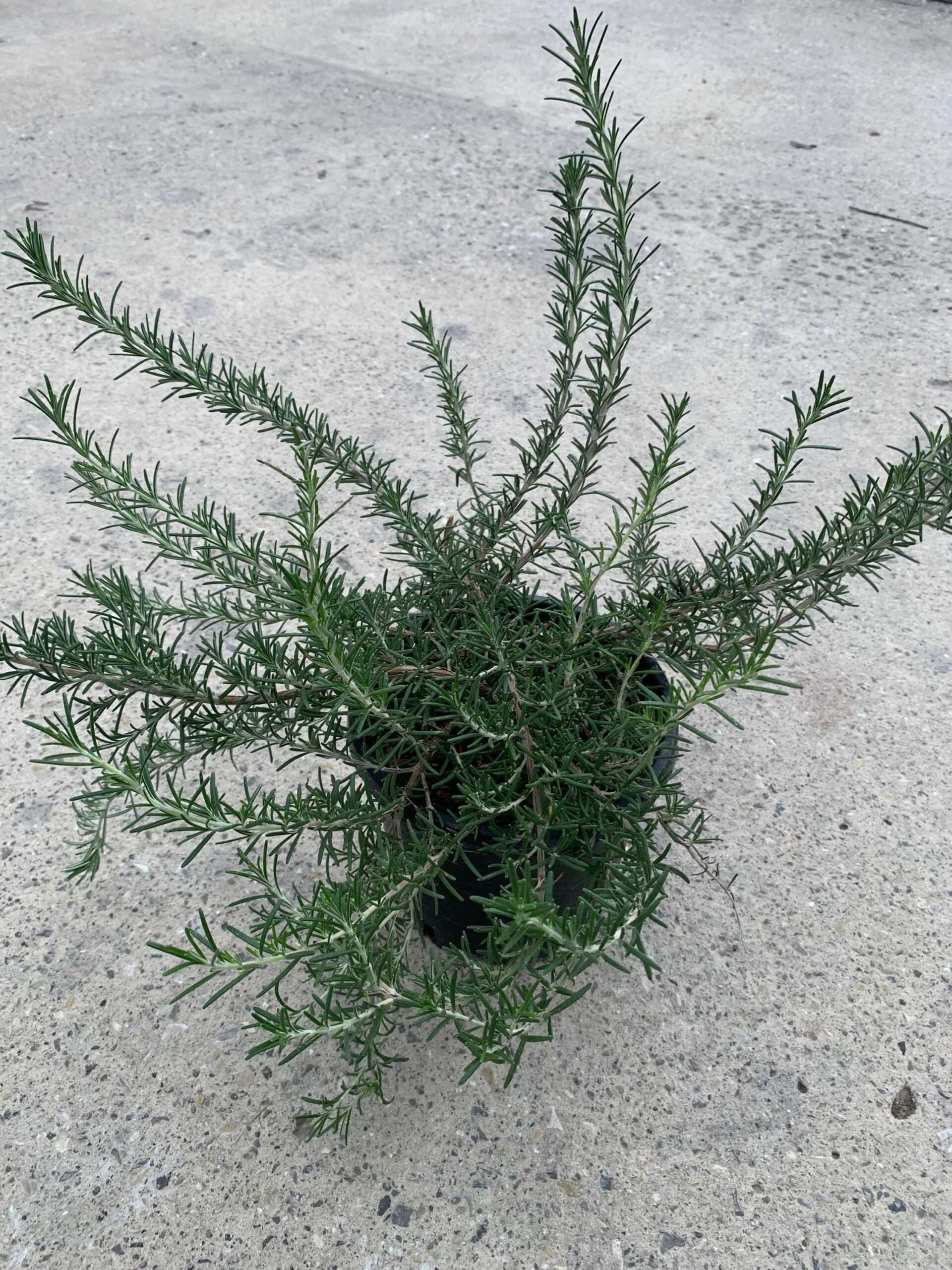 1636971294 scaled 00299b2f