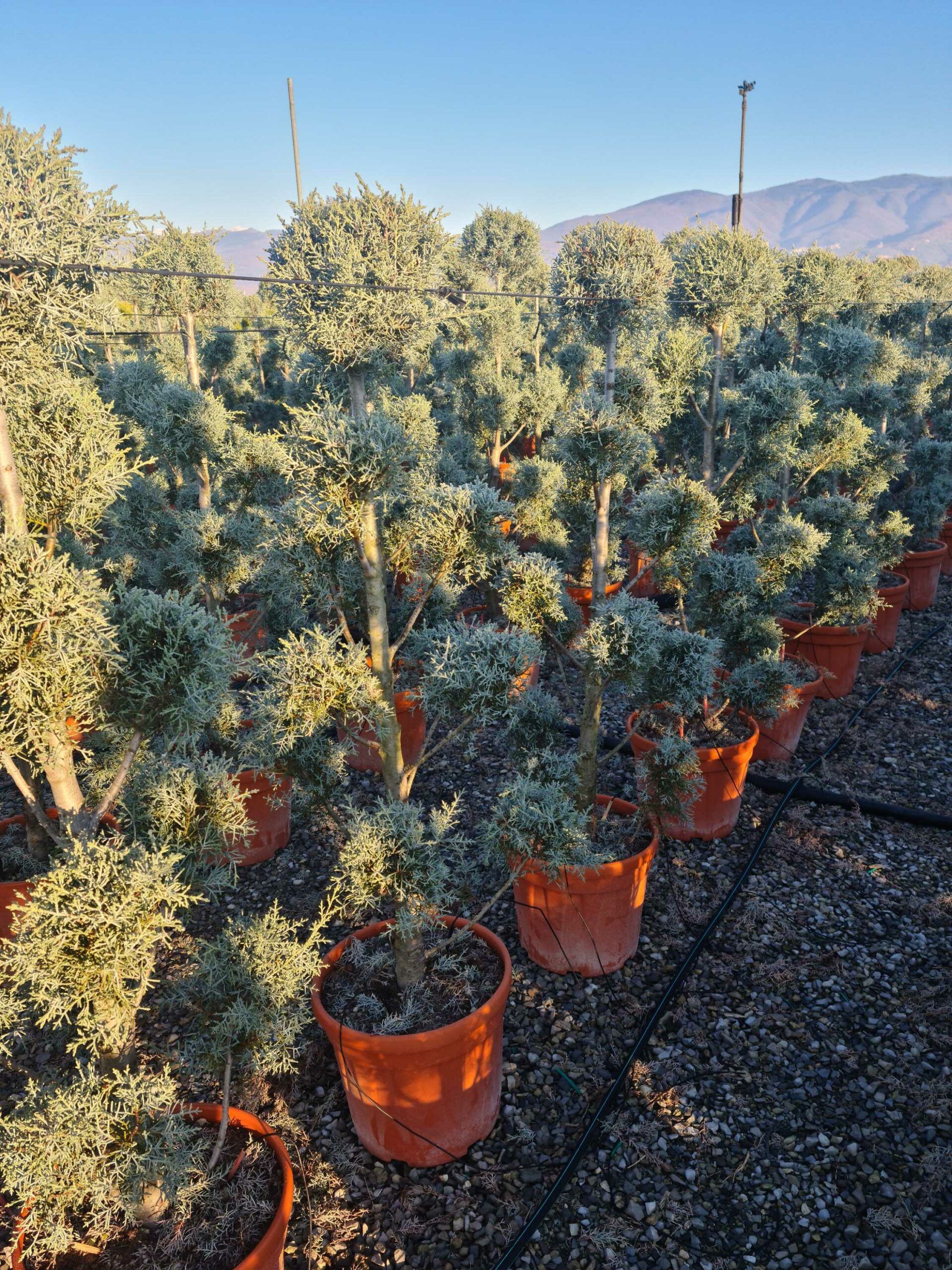 1639814375 scaled 008c41c3