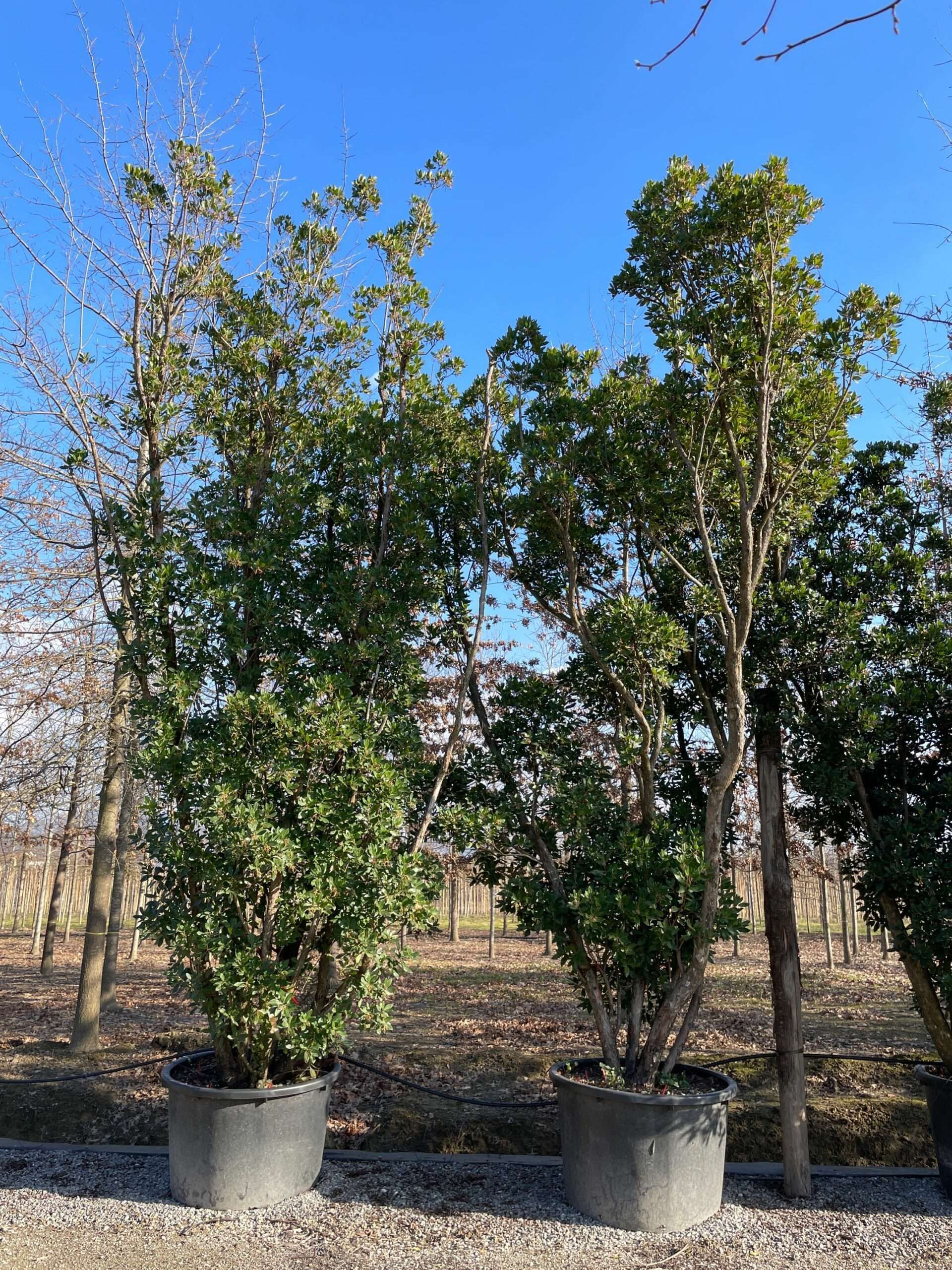 1644242268 scaled 005cf8ae