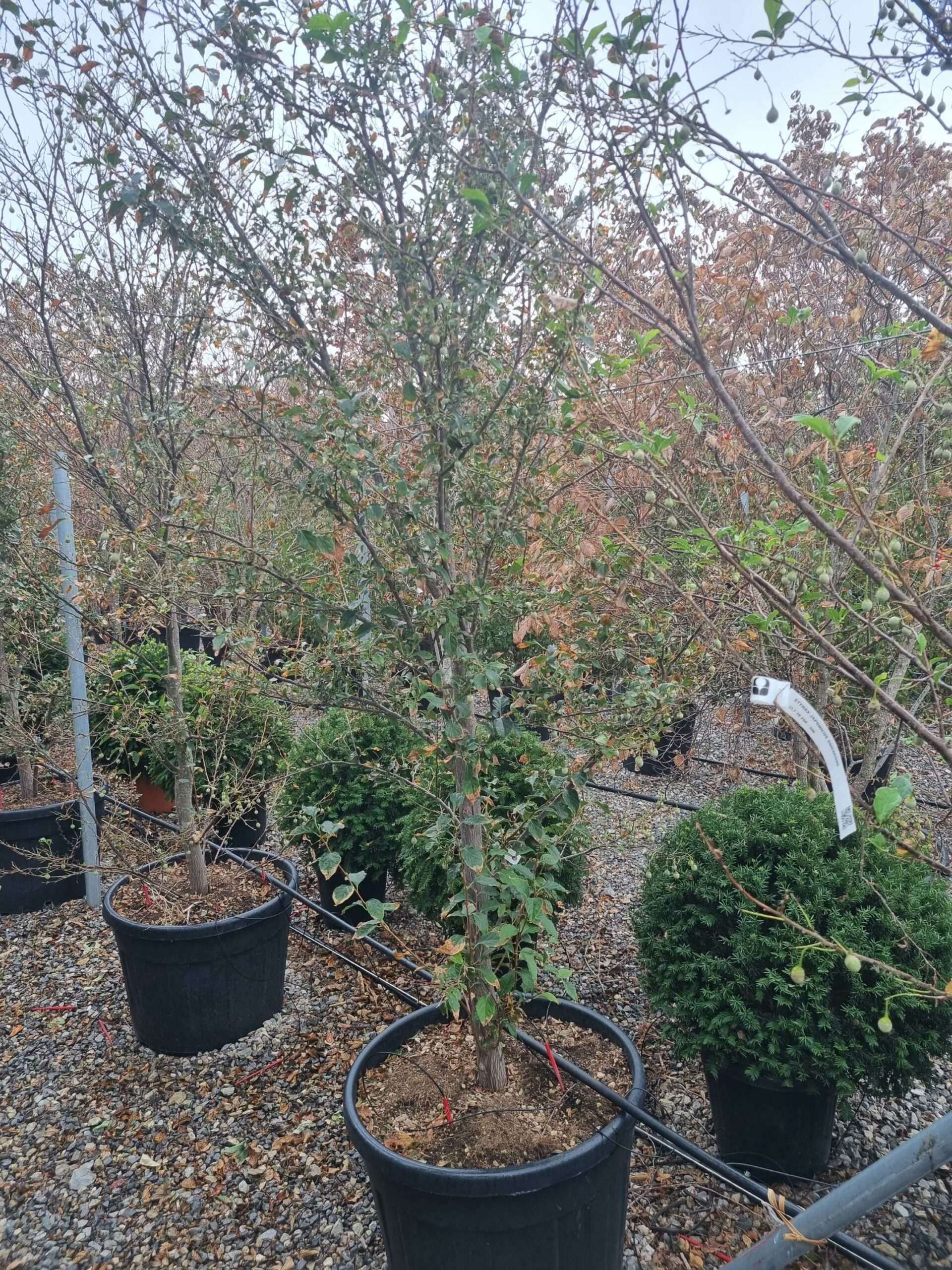 1664359739 scaled 00900f96