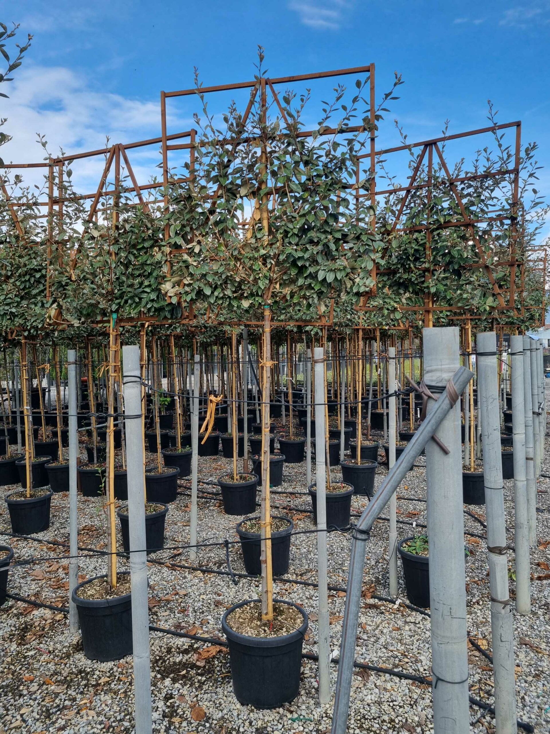 1665393685 scaled 00def47a