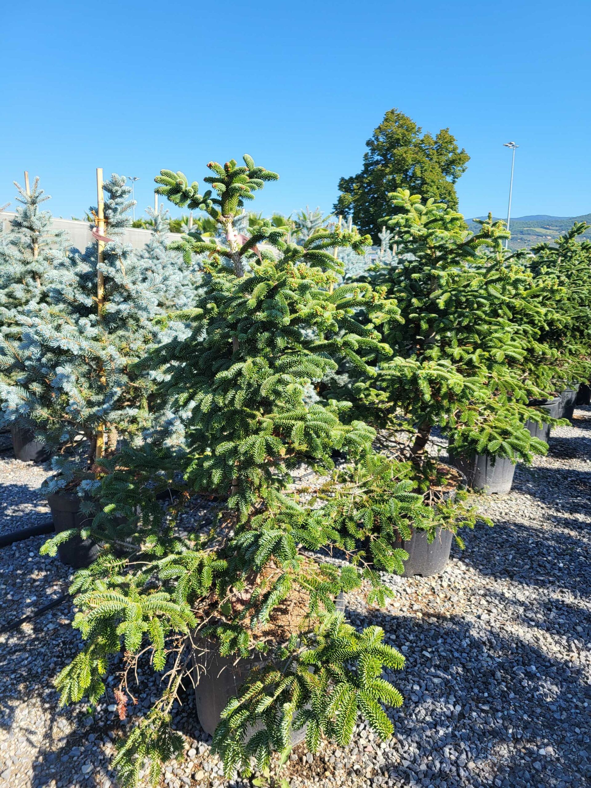 1691653084 scaled 00d2f9cd