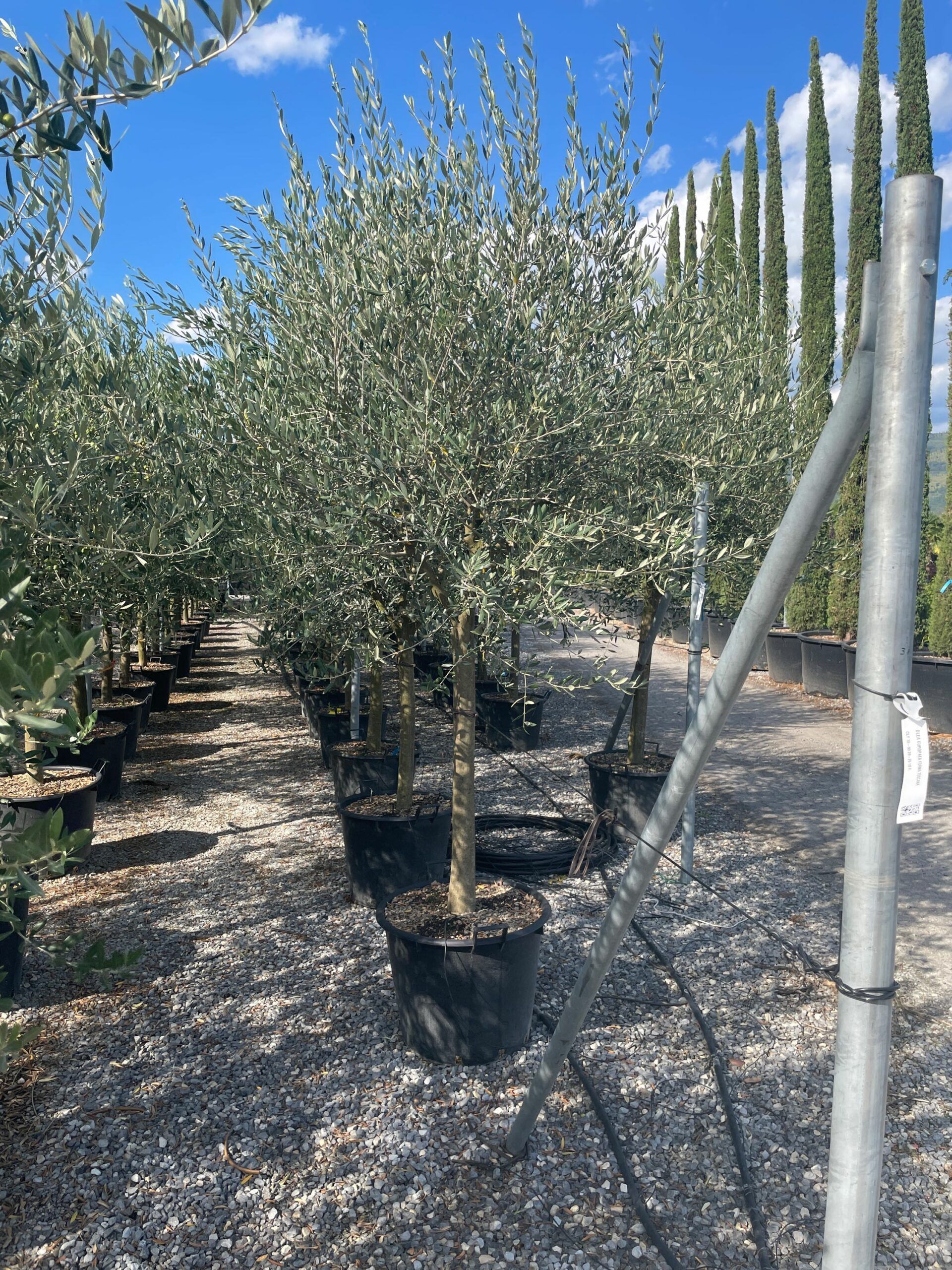 1630592619 scaled 01c0f5bb