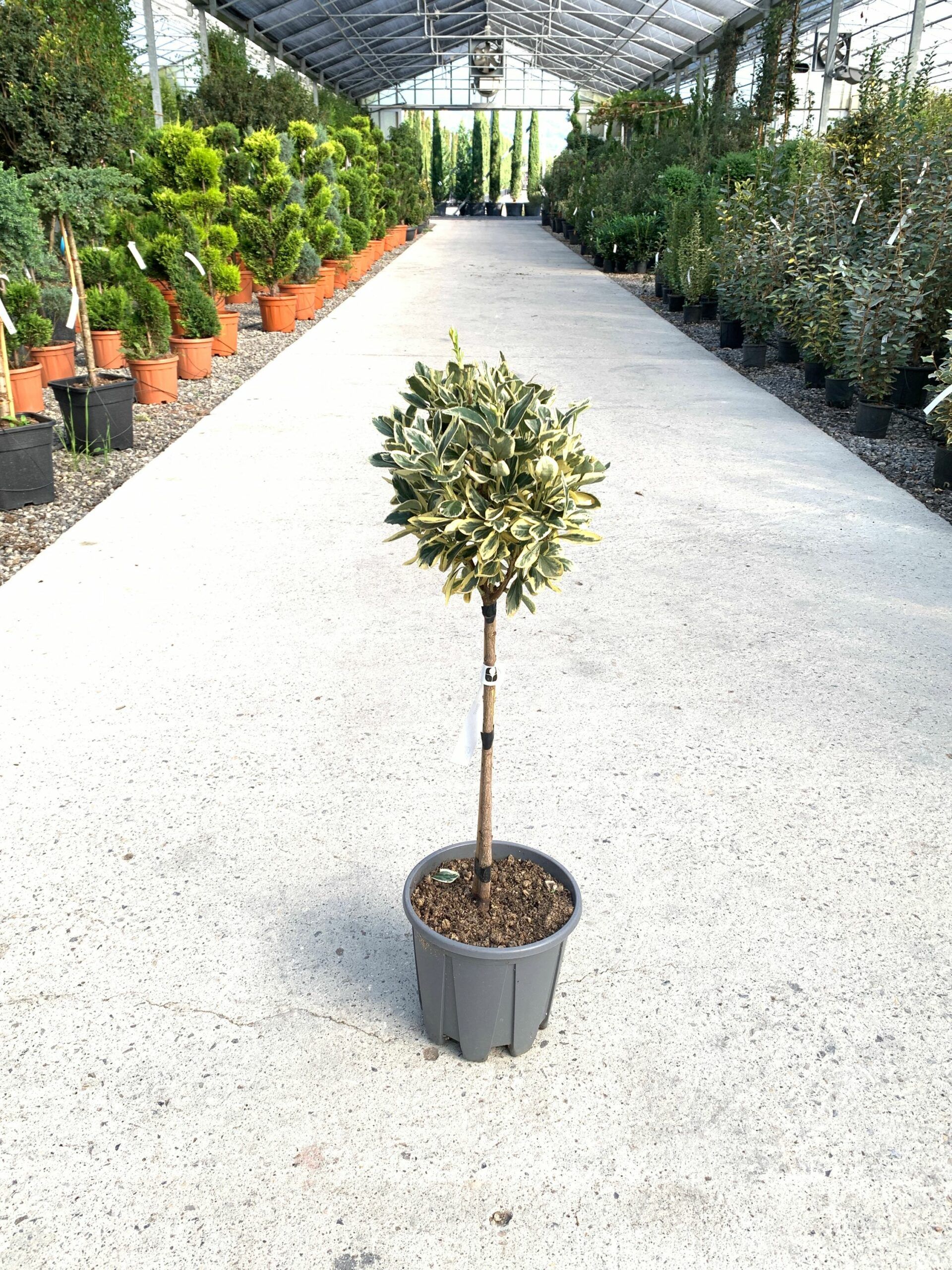 1634977981 scaled 01d329b0