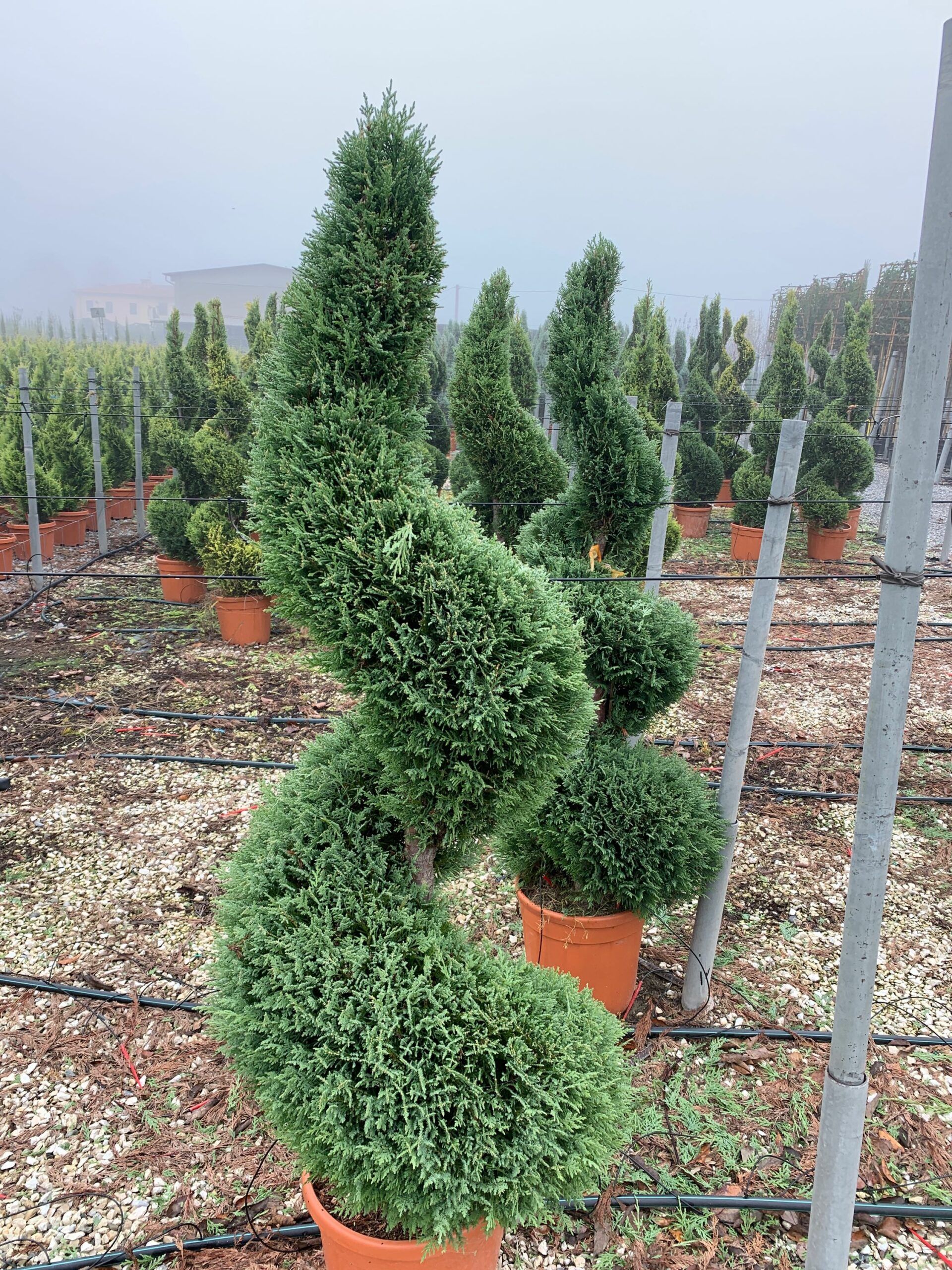 1637402311 scaled 01be08c1