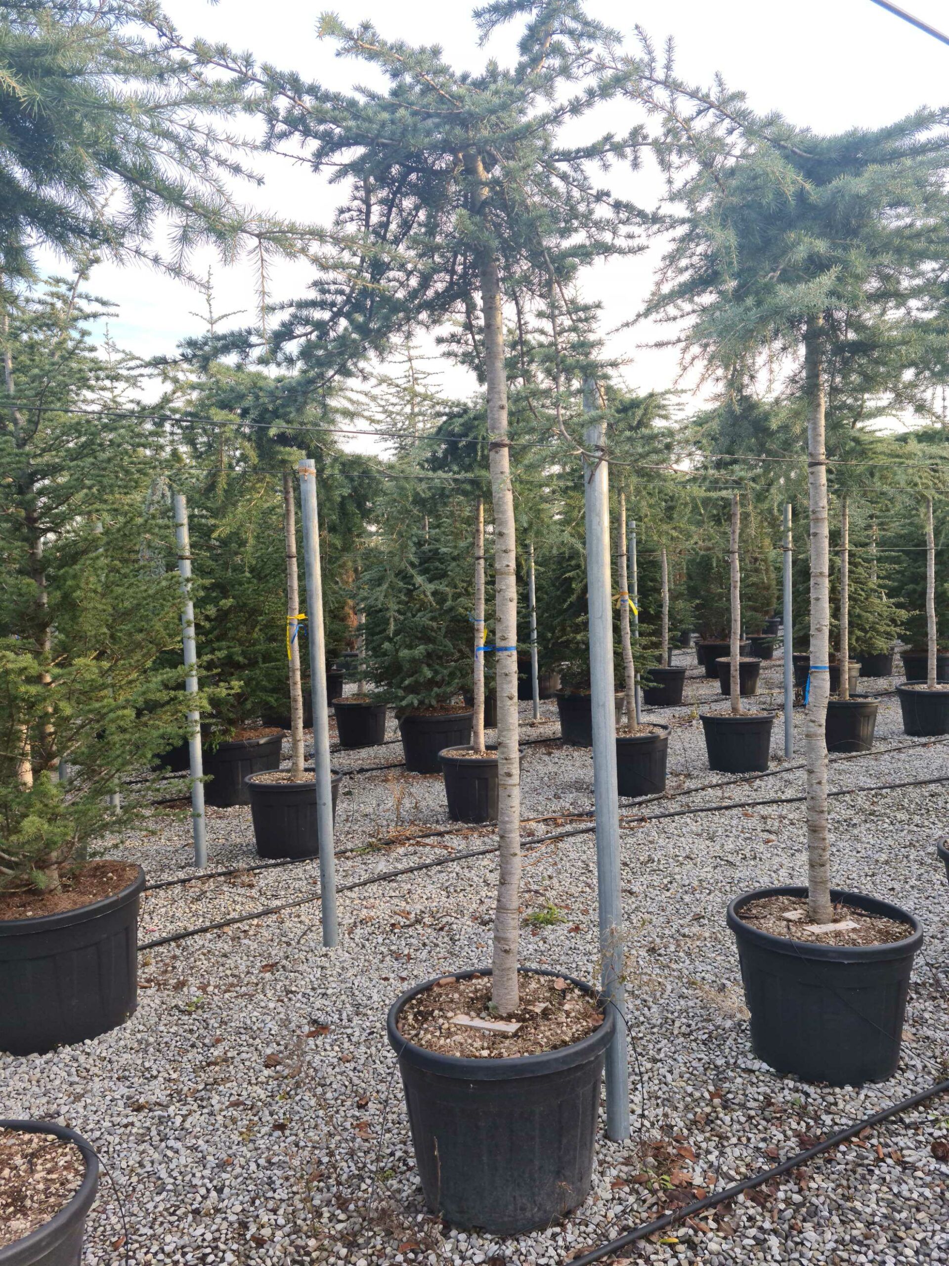 1639491741 scaled 0159e0ab