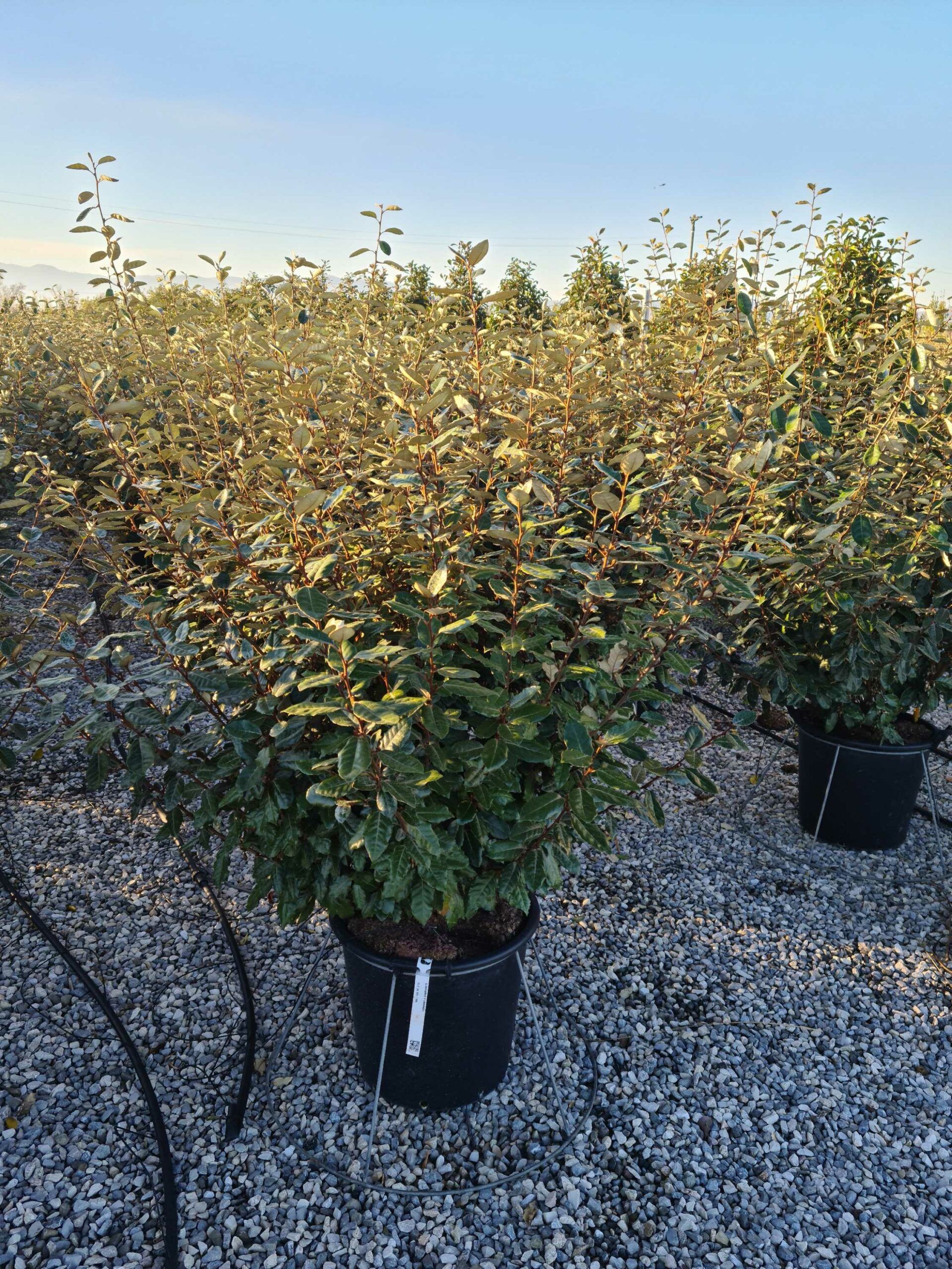 1642146956 scaled 01310fab