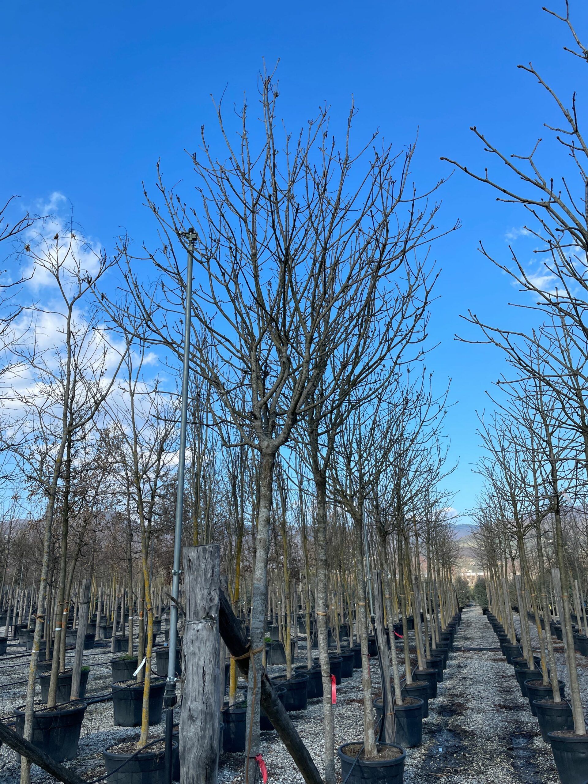 1644241594 scaled 016c5c8c