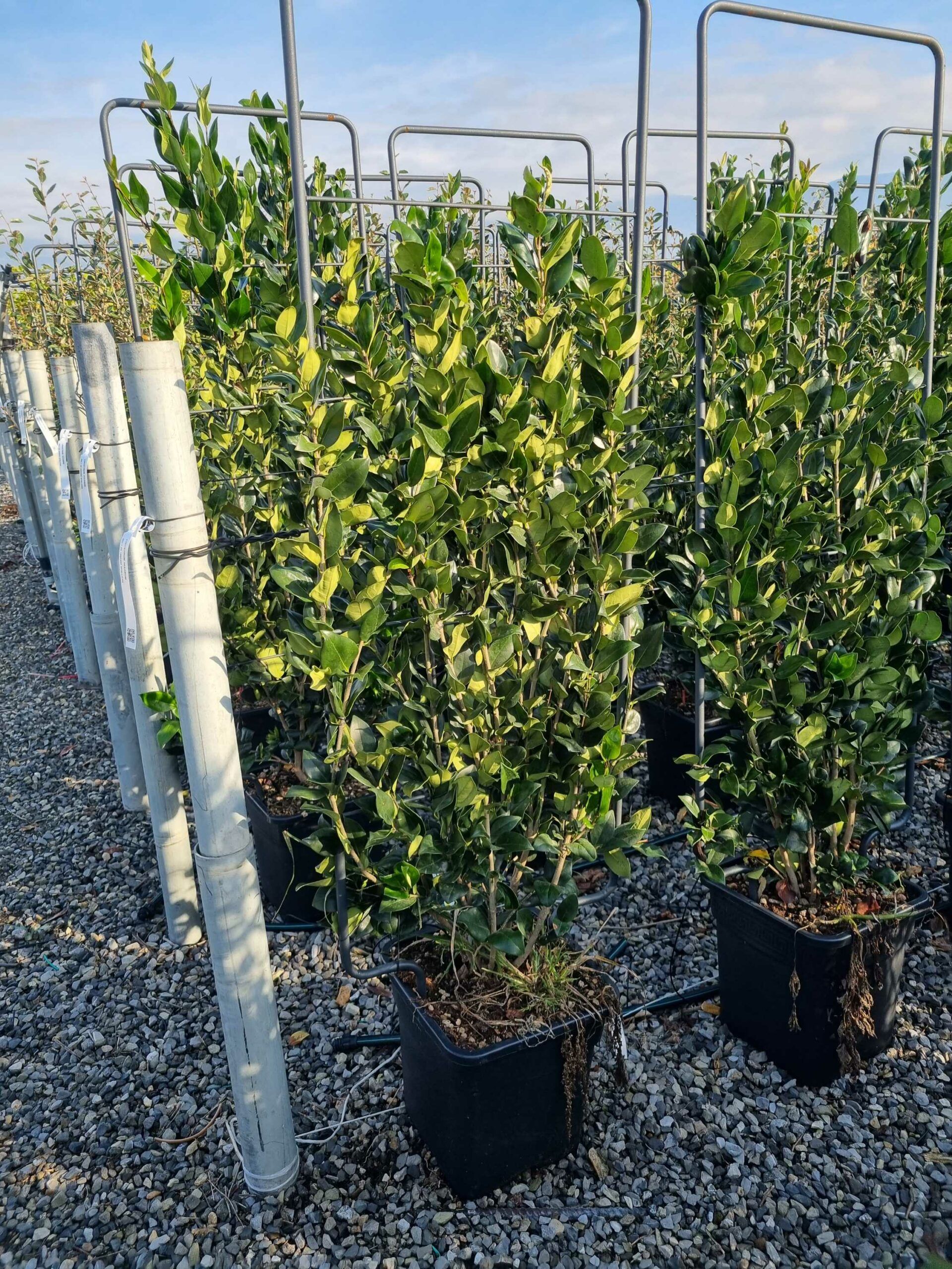 1667895890 scaled 01984040