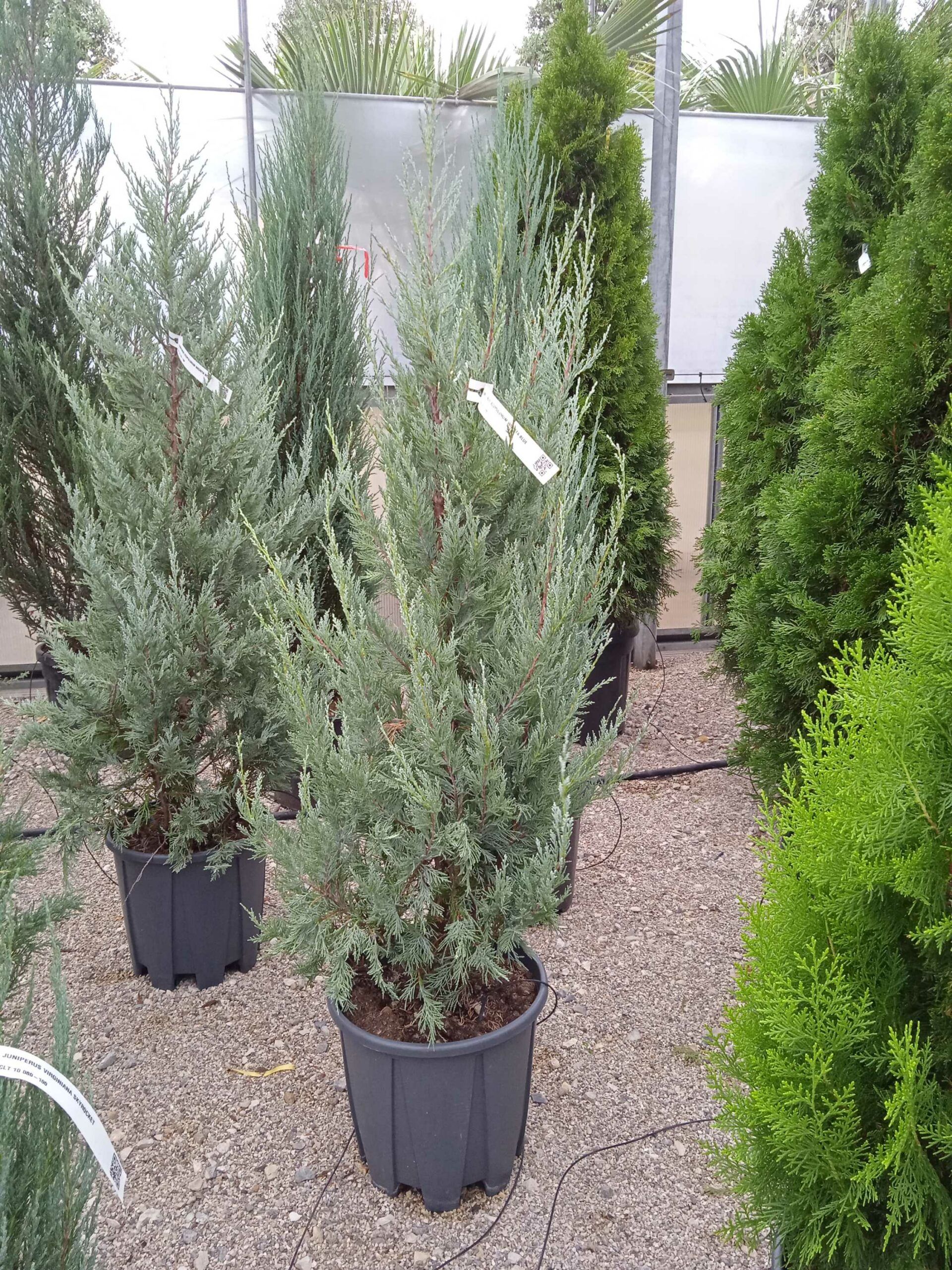 1682839291 scaled 01545563