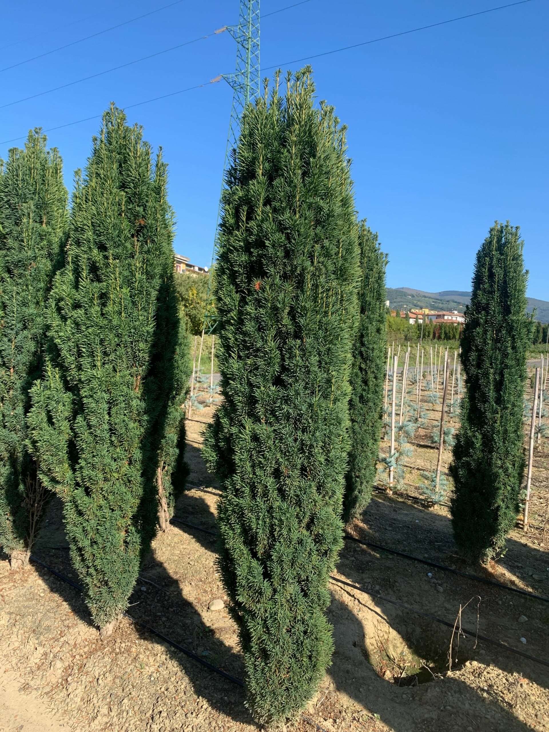 1635335530 scaled 021eae8a