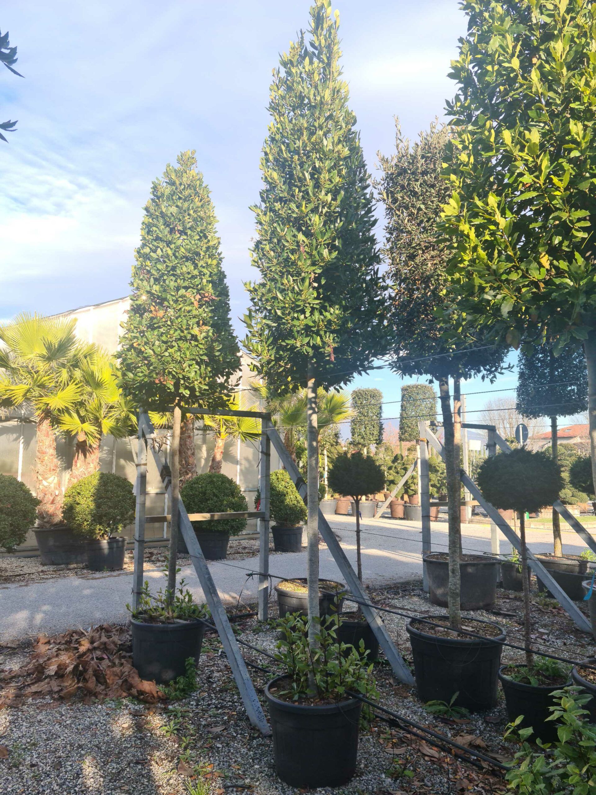 1639402214 scaled 027f1863