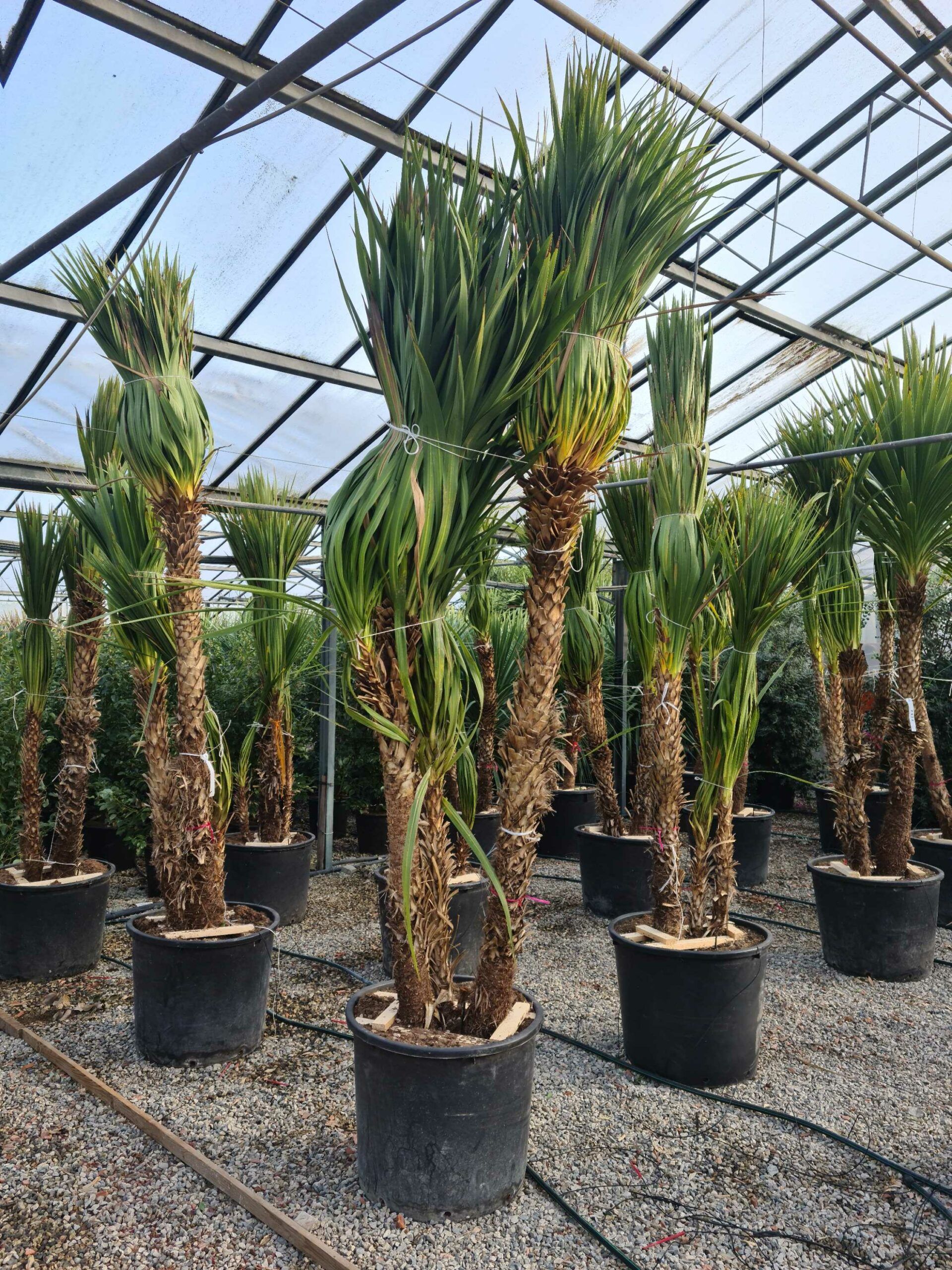 1642755233 scaled 0219d71d