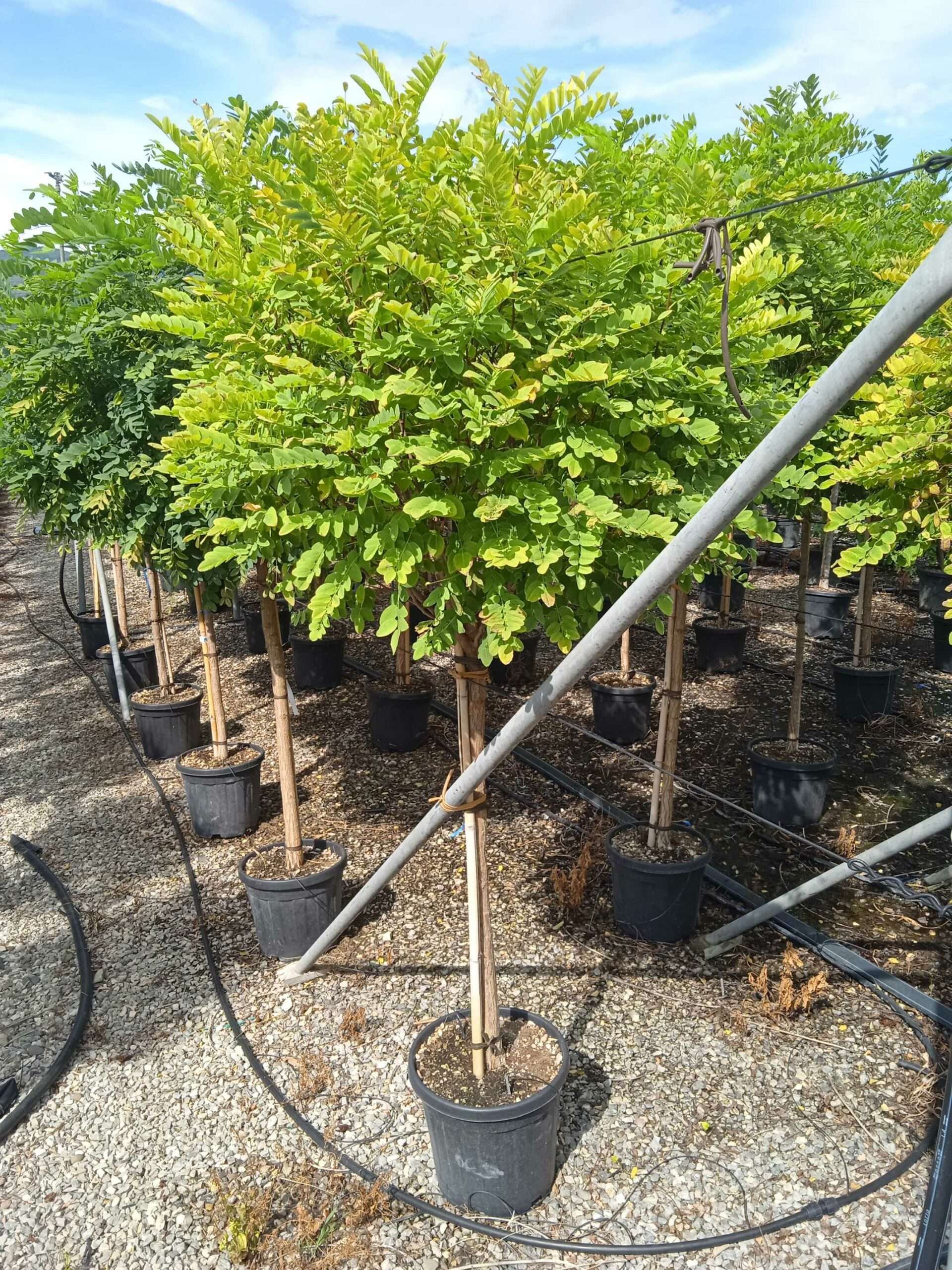 1662039497 scaled 02daed28