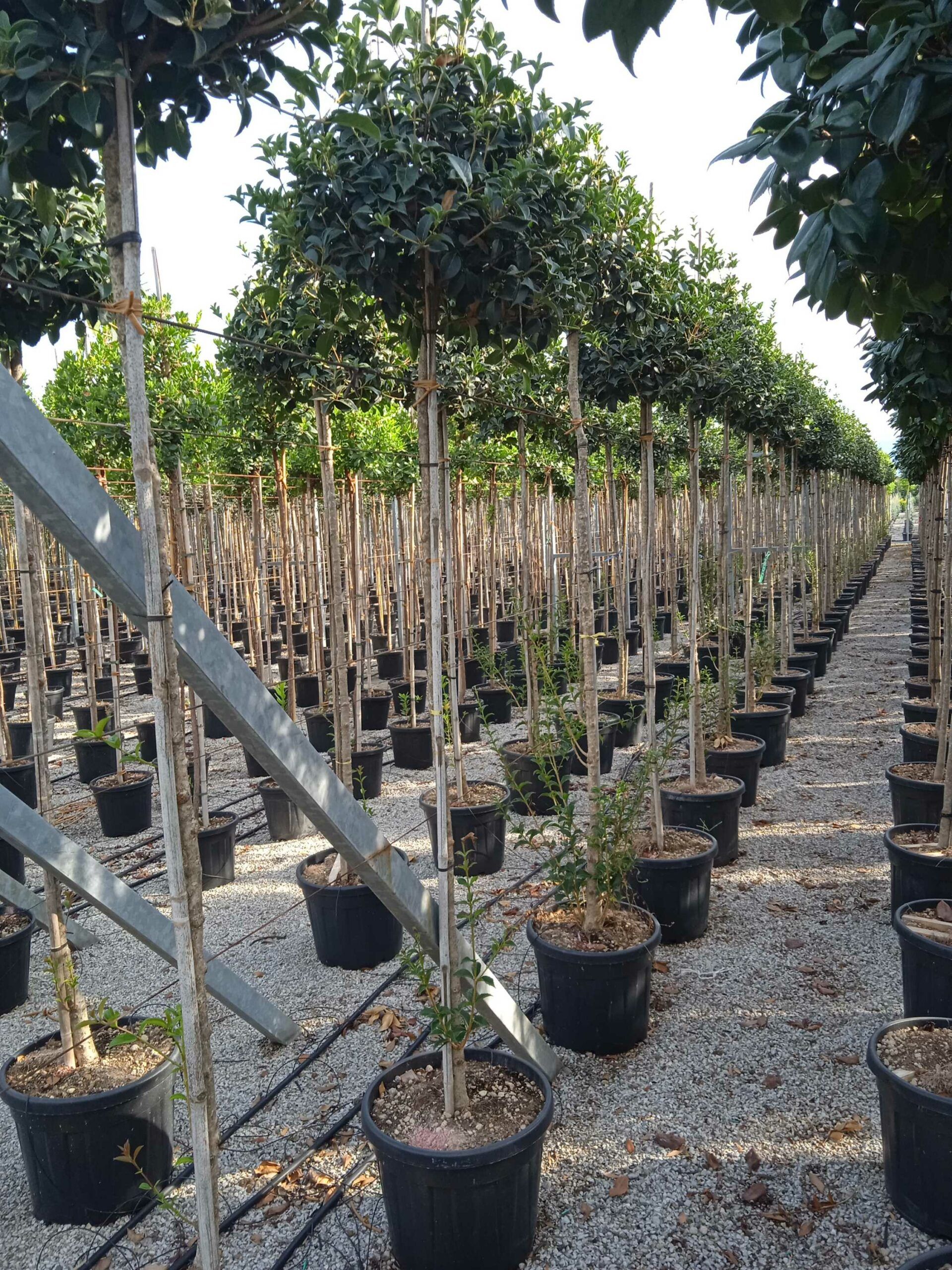 1662132074 scaled 0209ae67