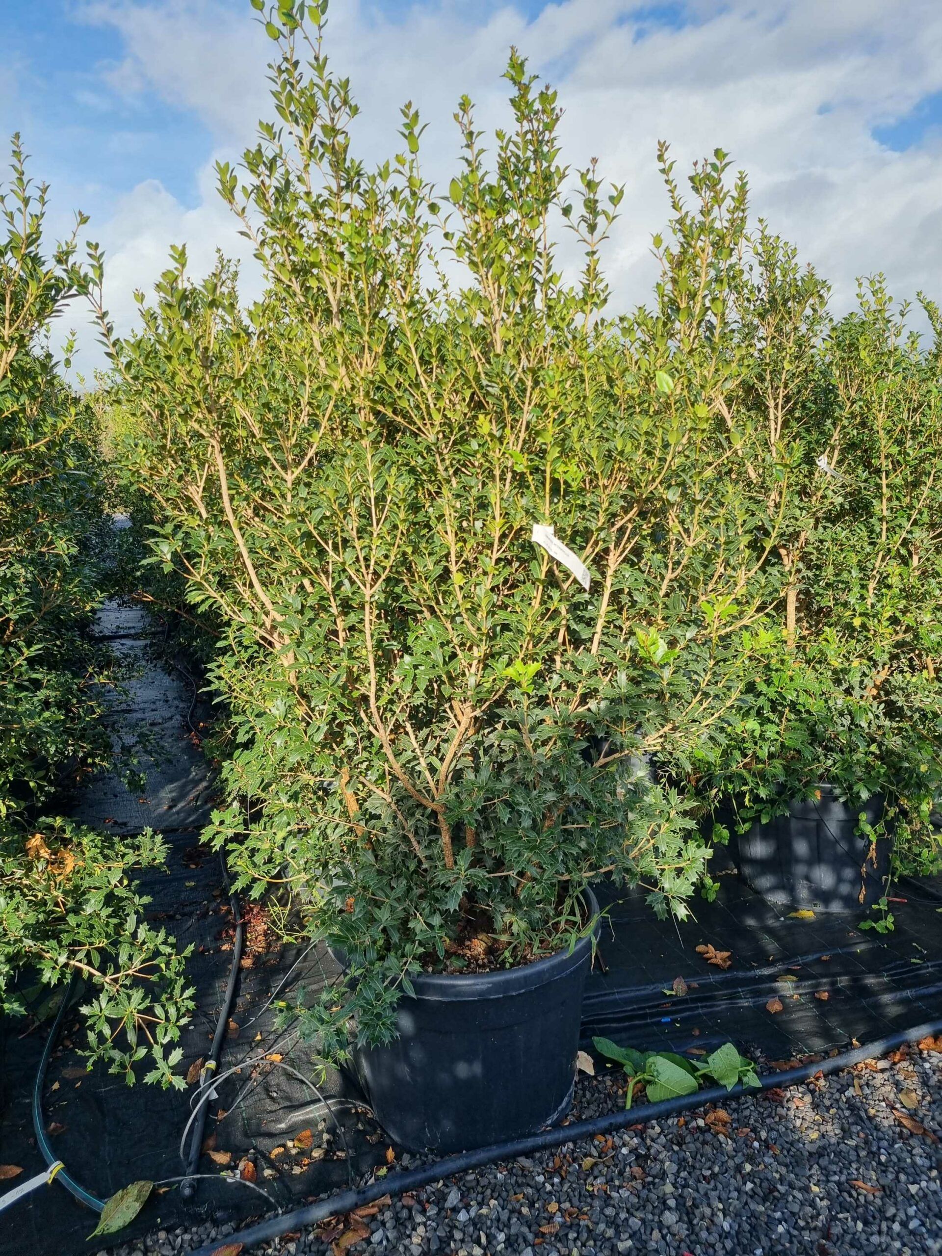 1664436438 scaled 0252c318