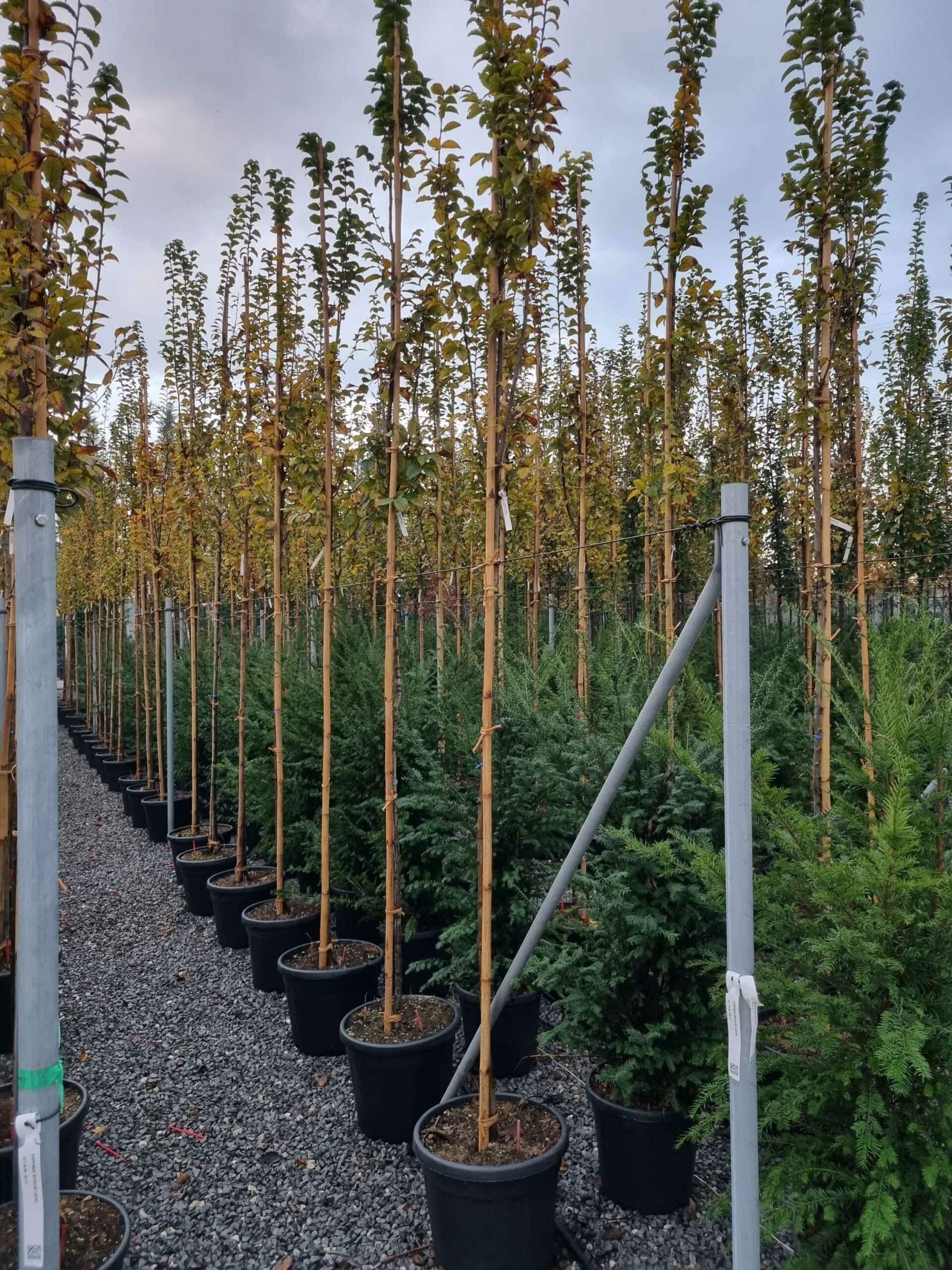 1668698546 scaled 02b3ec60