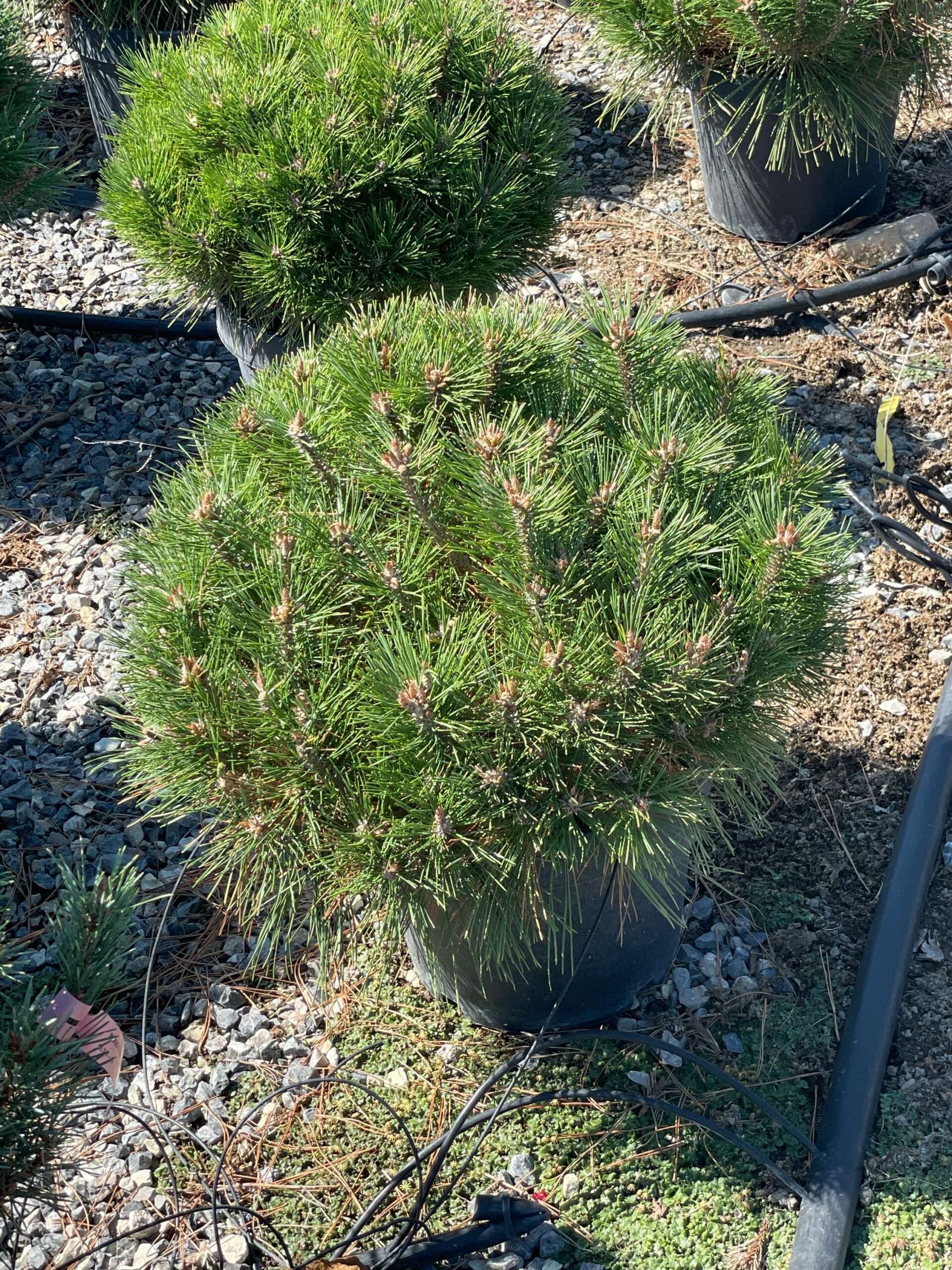 1695810986 scaled 029bc4fc