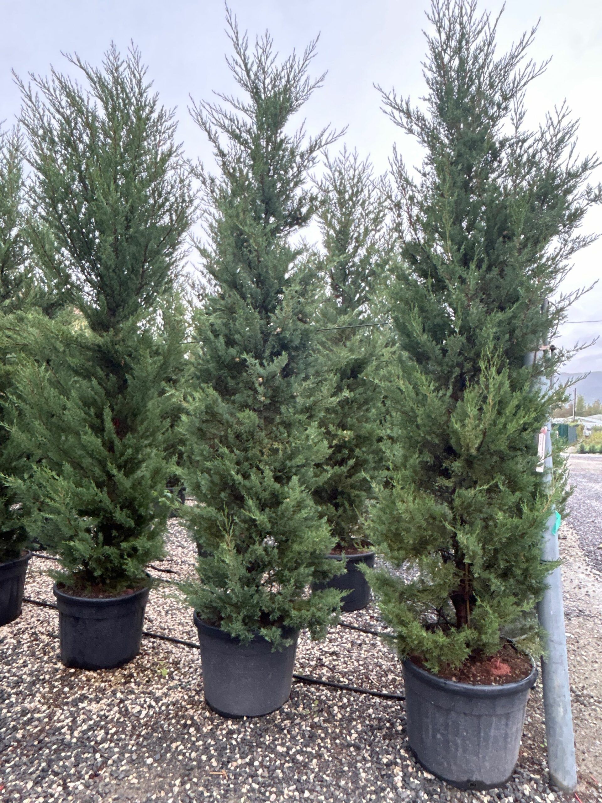 1698155727 scaled 02ea2fc9