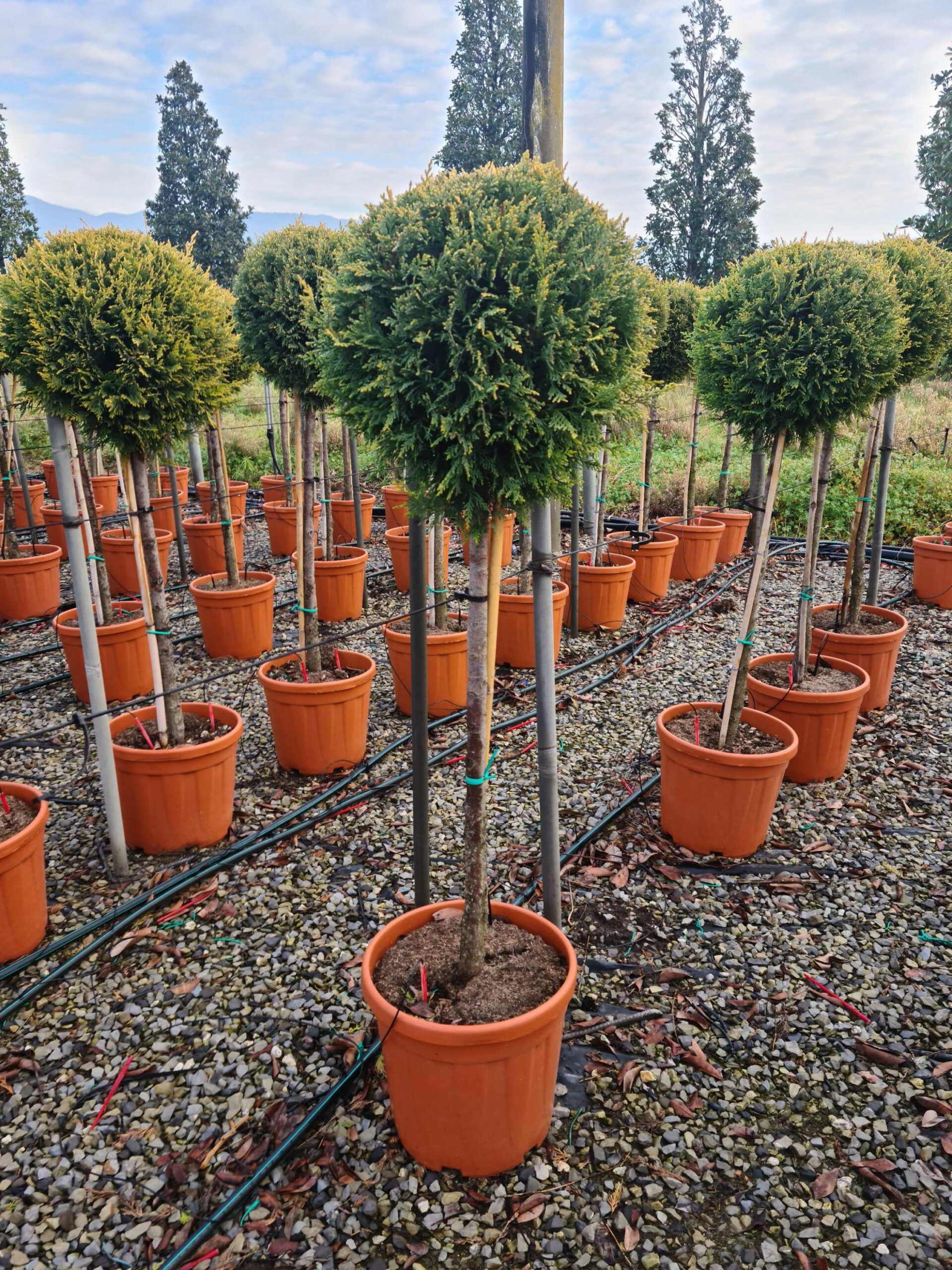 1640162524 scaled 030cd03a