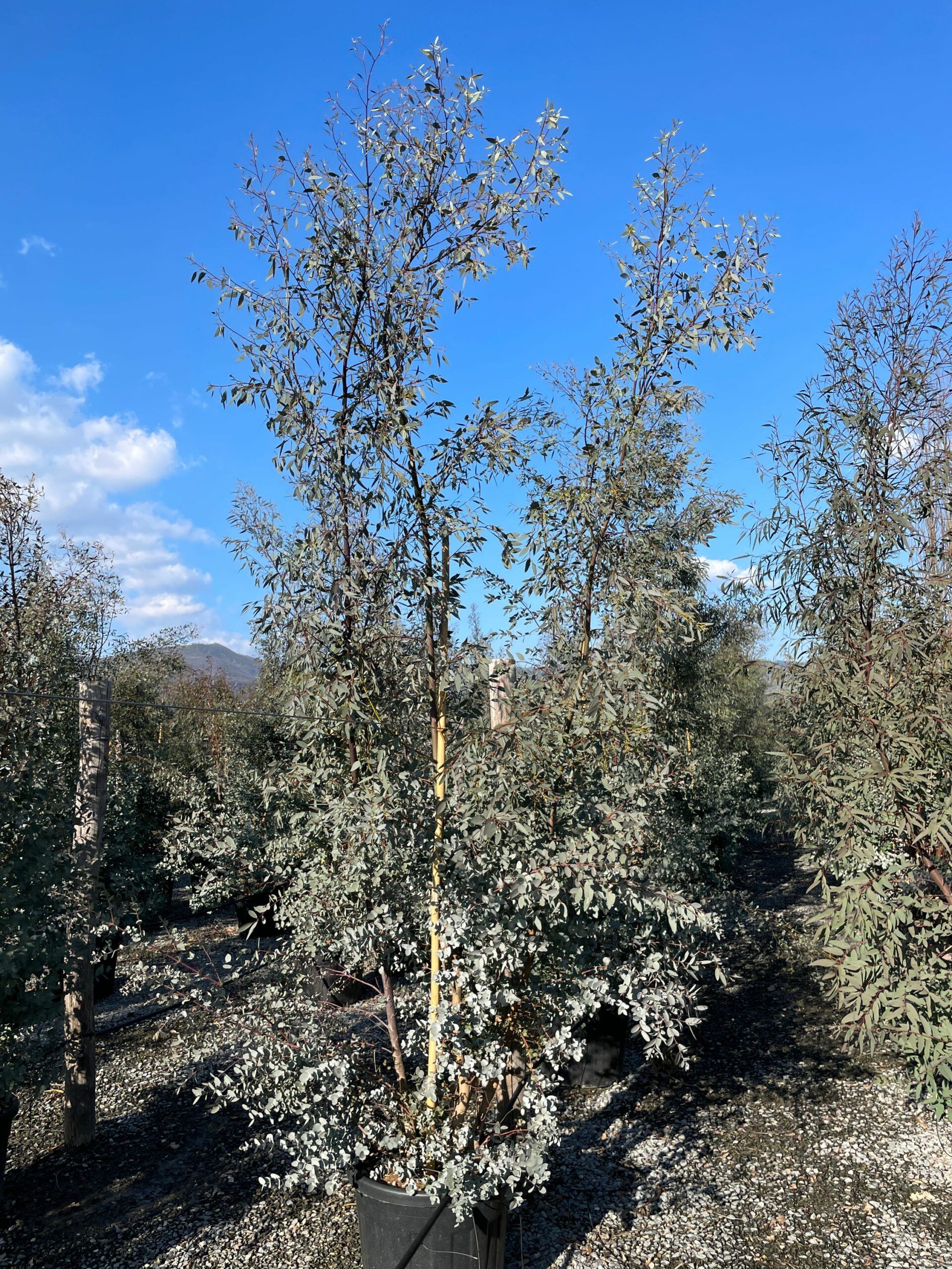 1644241967 scaled 0313f7c6