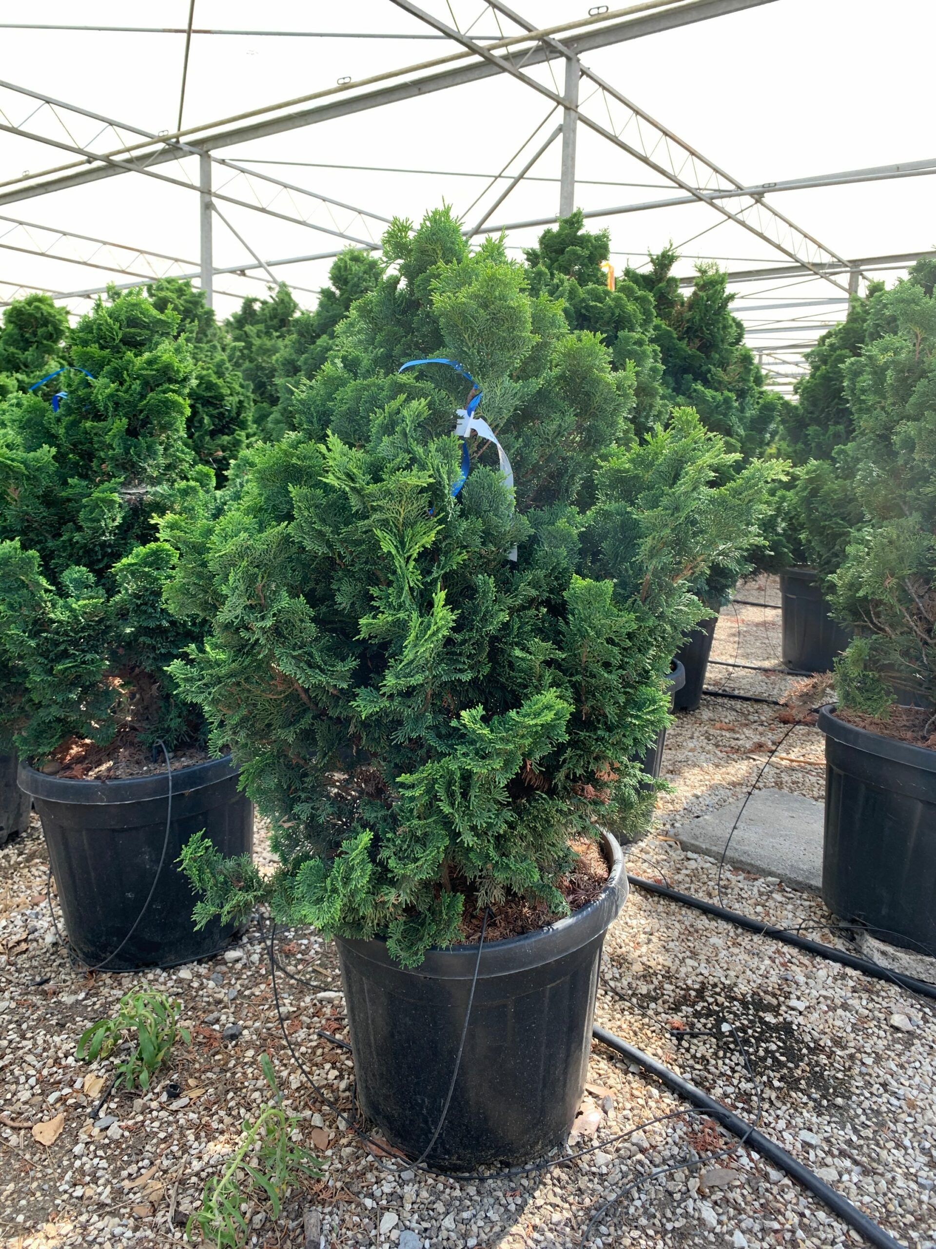 1657525829 scaled 035a6b59