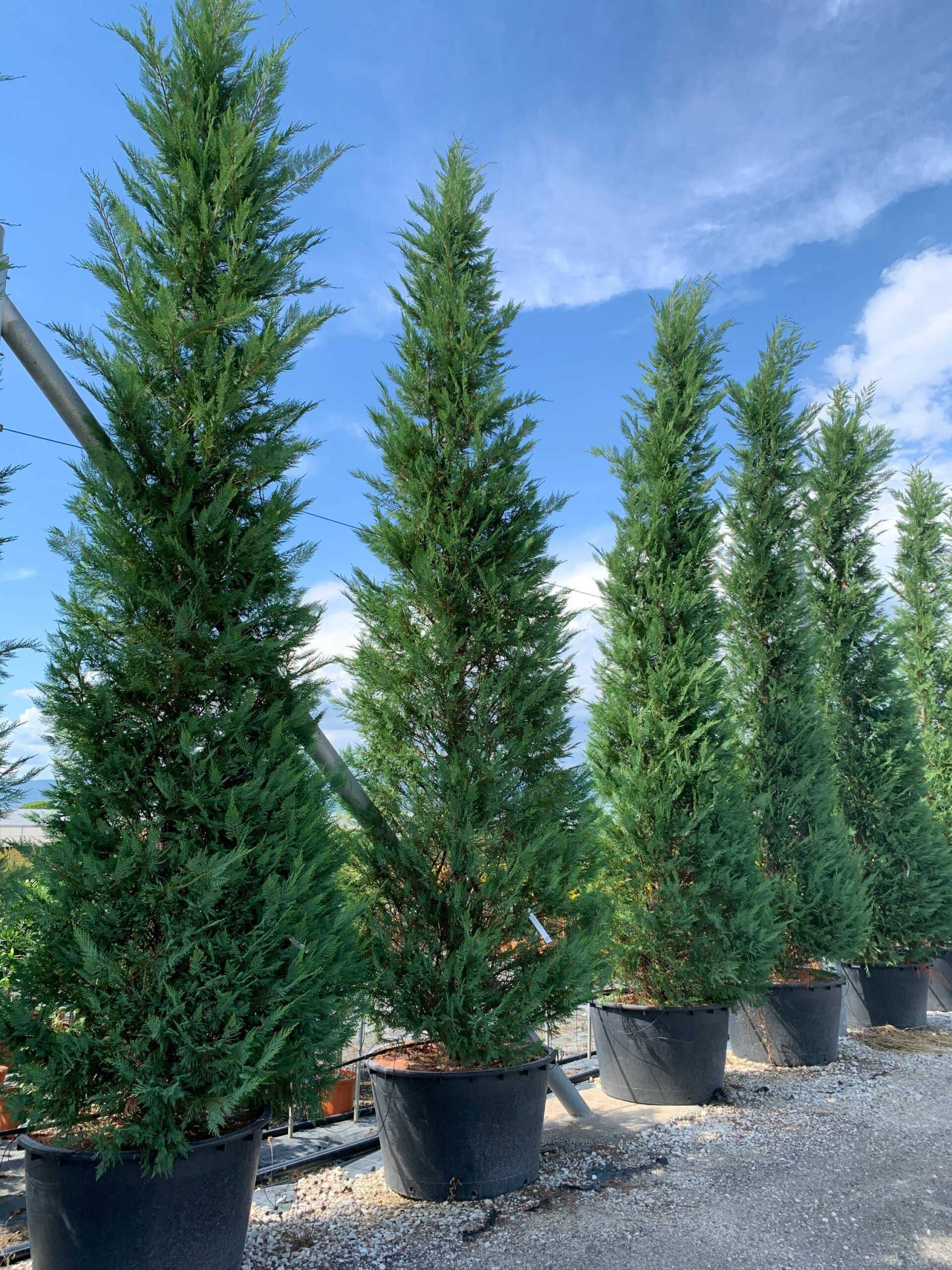 1662123547 scaled 03fe3111