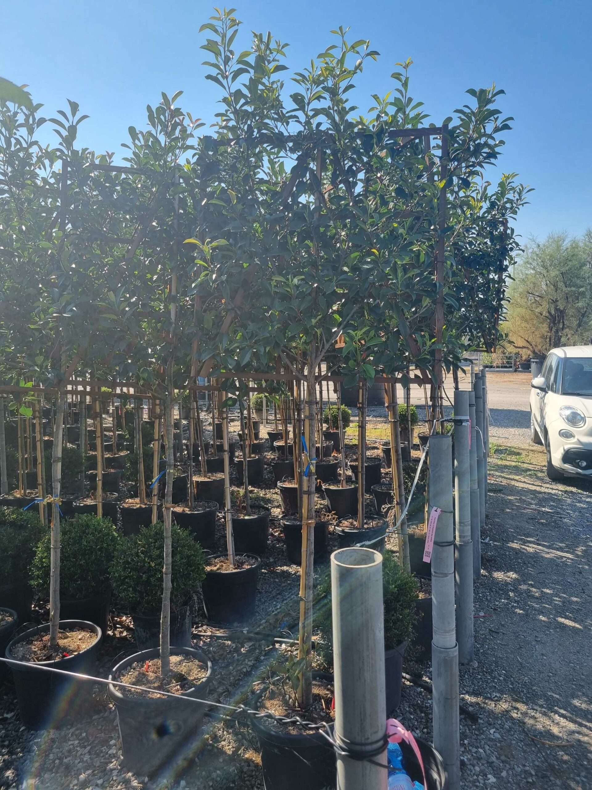 1692692747 scaled 03e92bc4