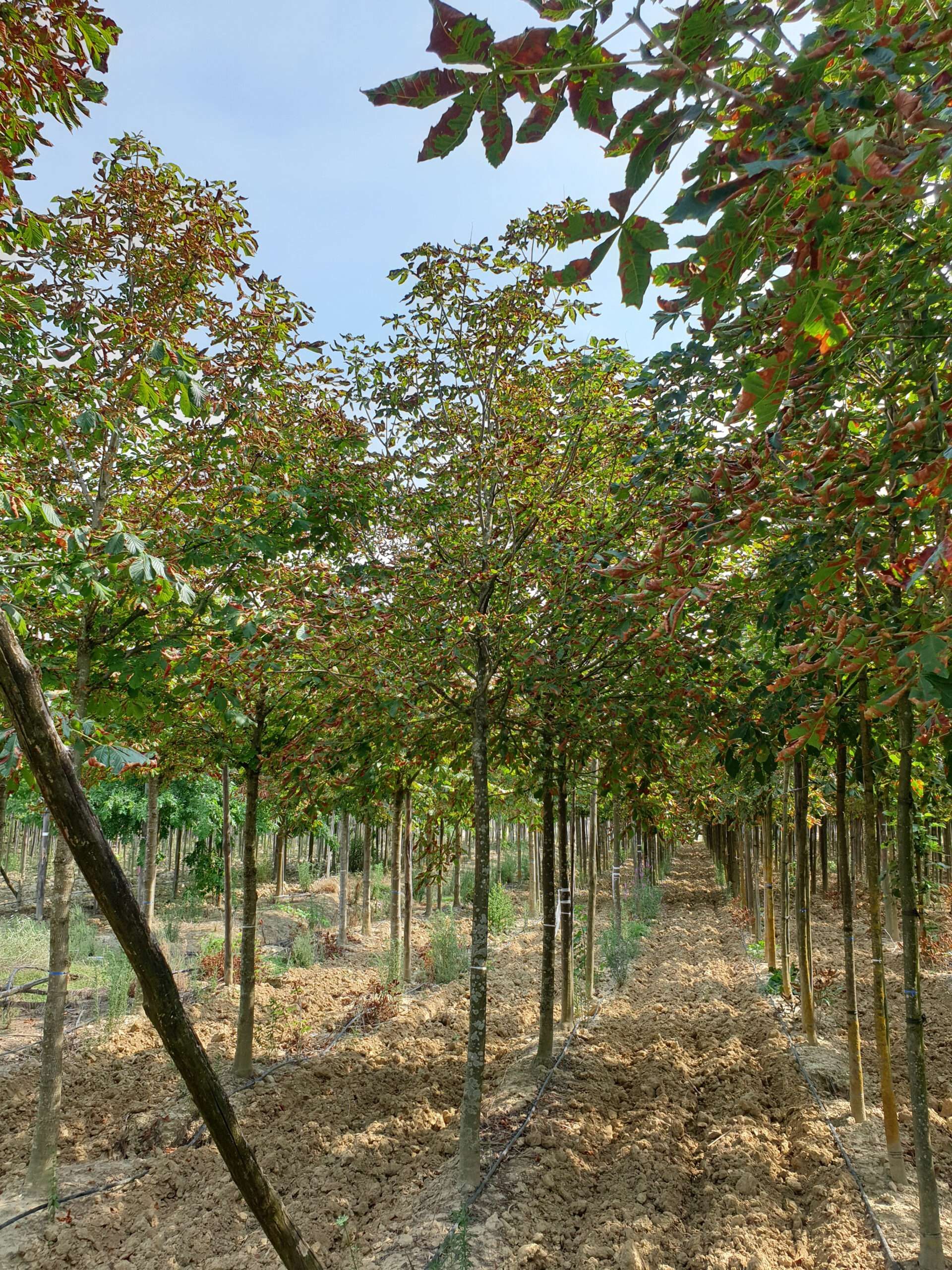 1610700426 scaled 04f5857d