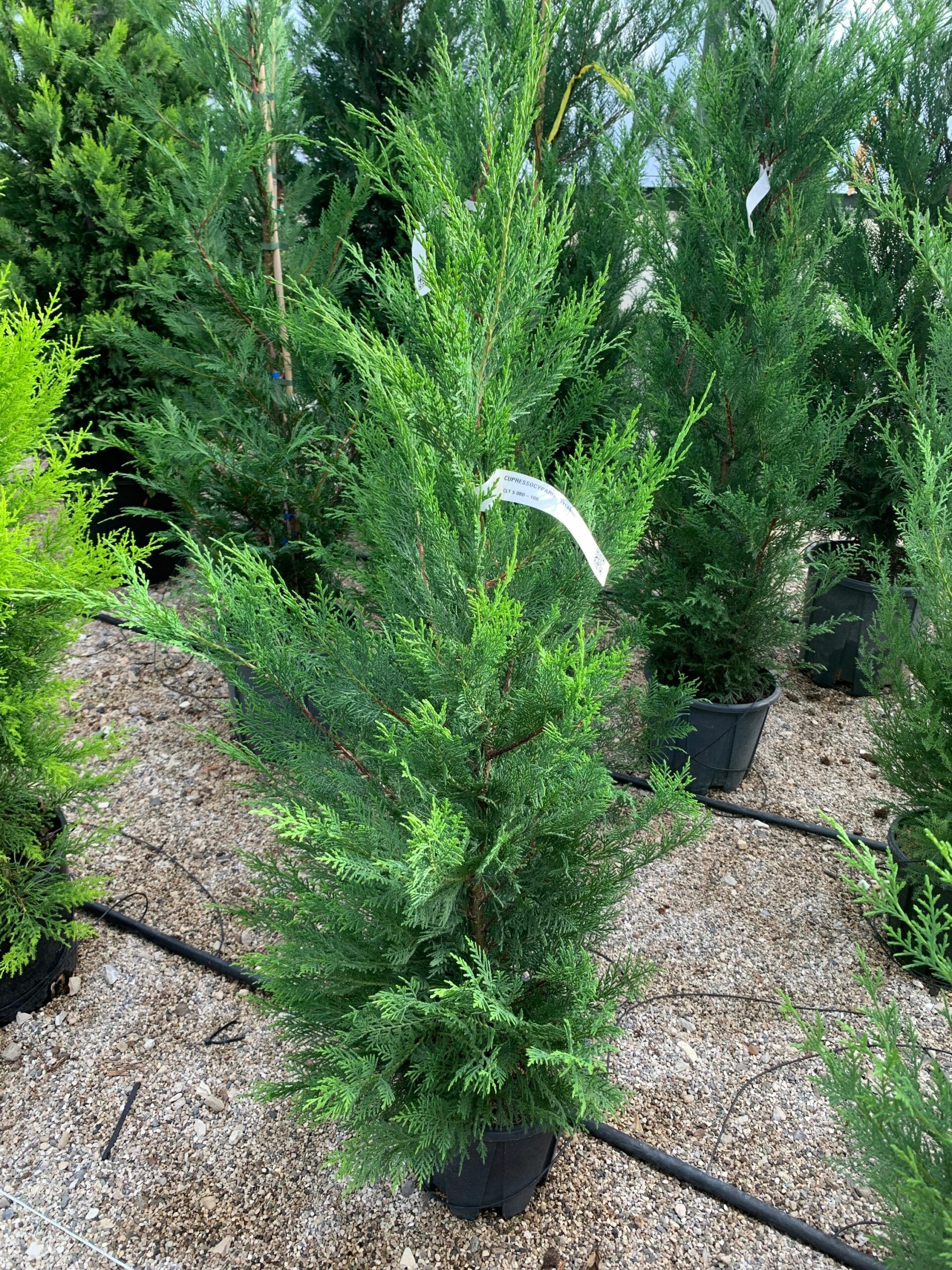 1636362390 scaled 048a39a6