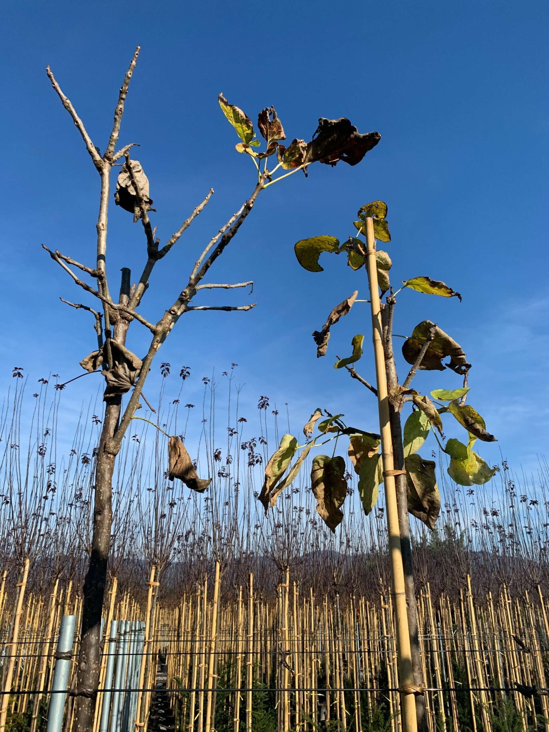 1637315011 scaled 04da871b