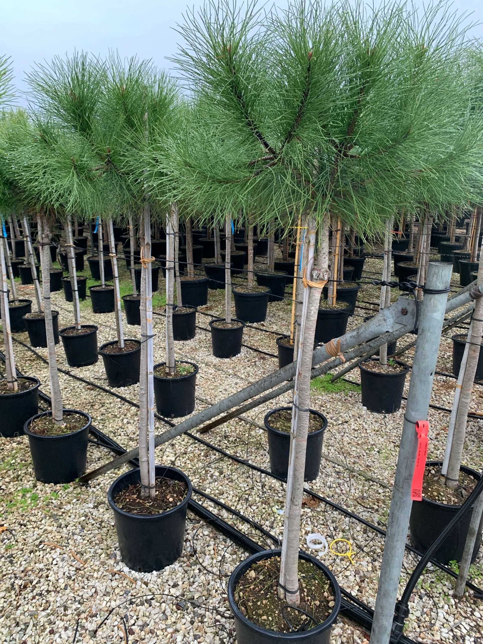 1638348839 scaled 047a1ce3