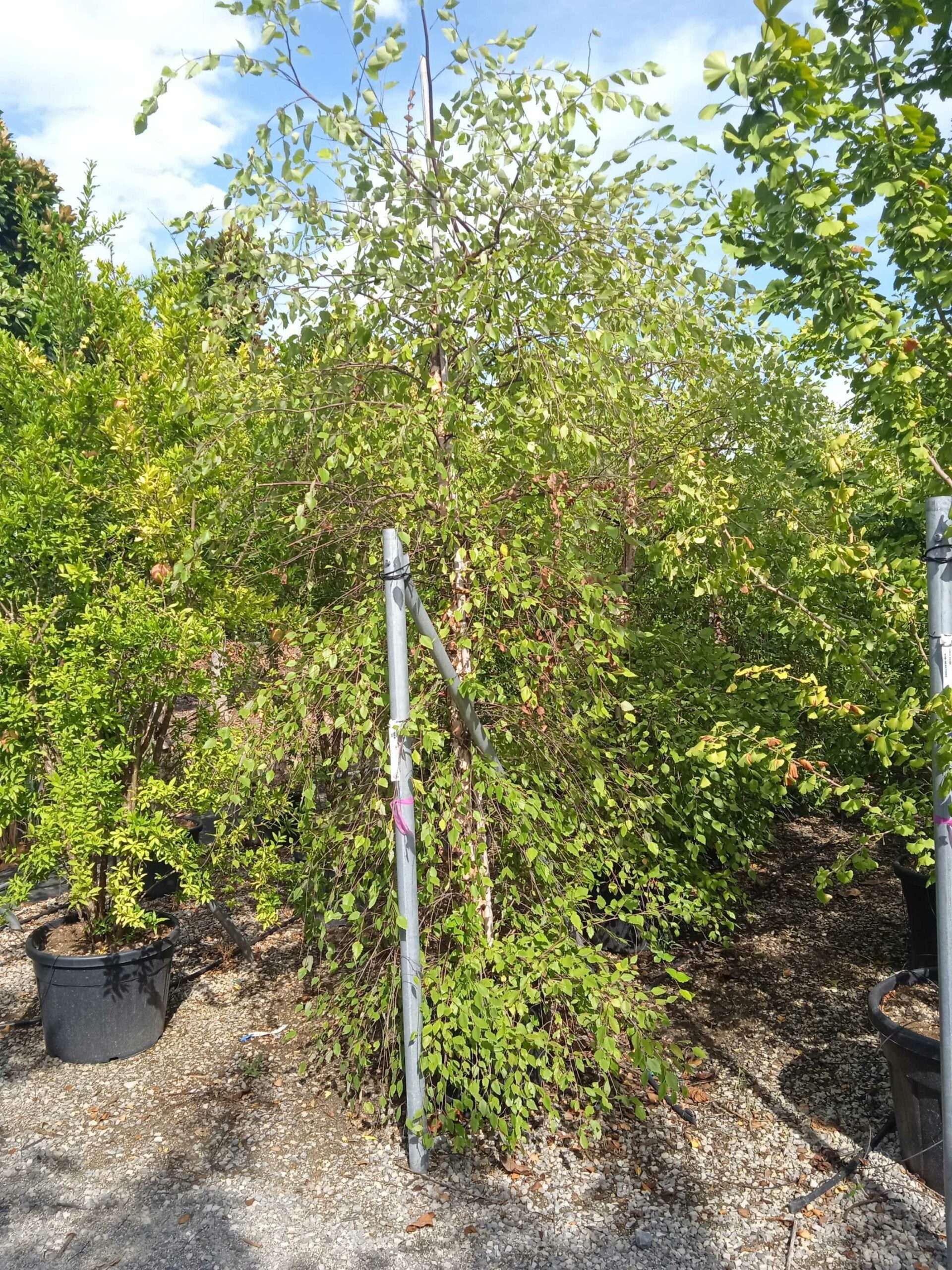 1662040395 scaled 041785a8