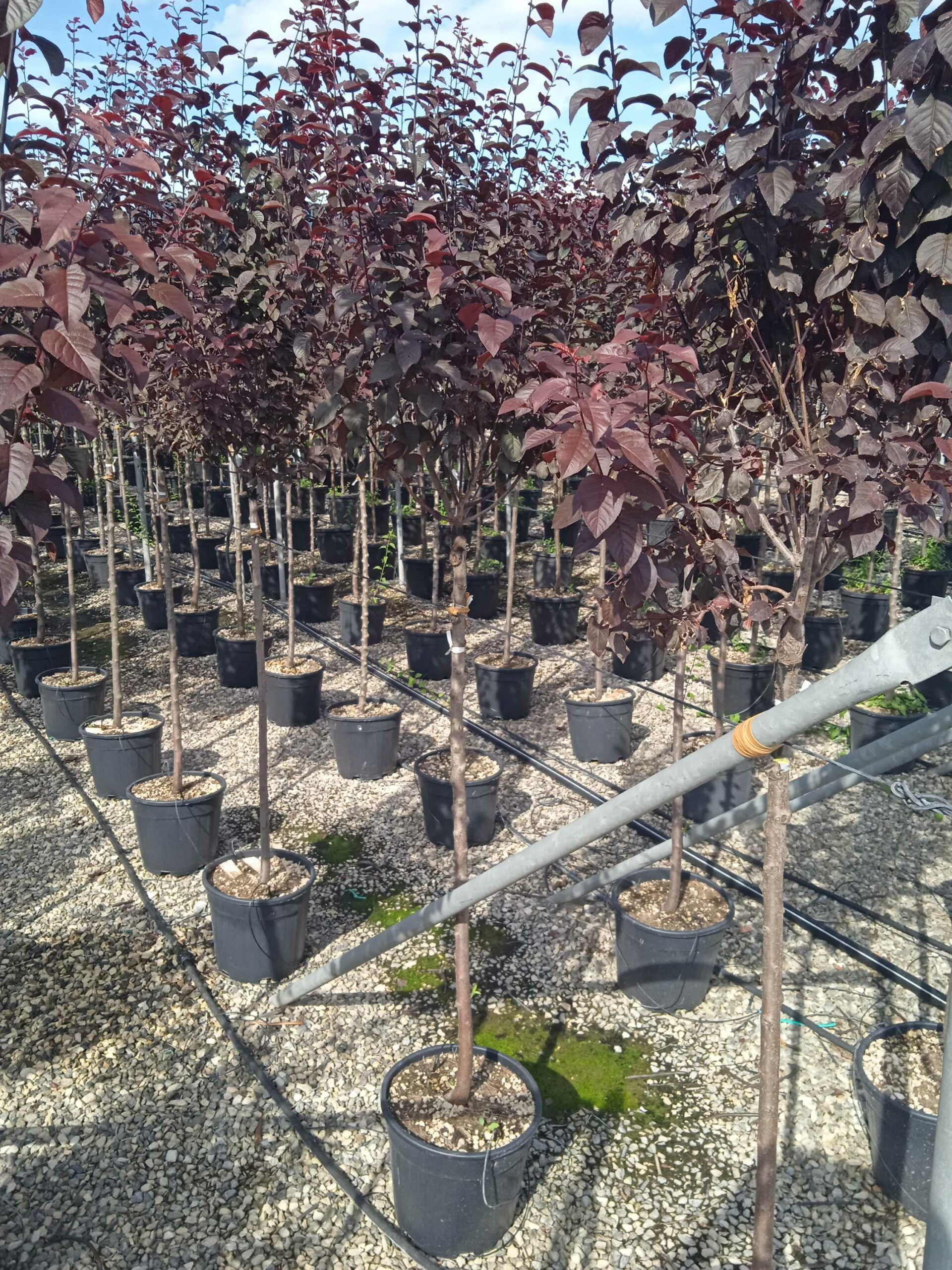 1662040911 scaled 041d8aaa