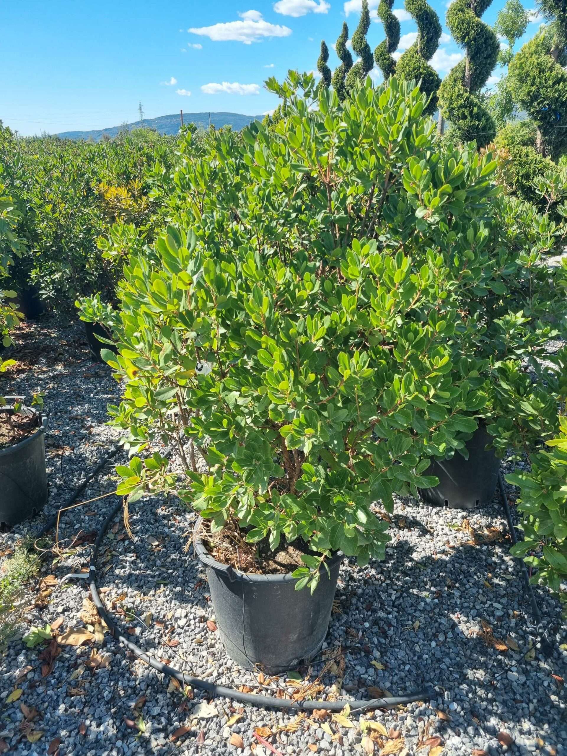 1663675877 scaled 047456f4