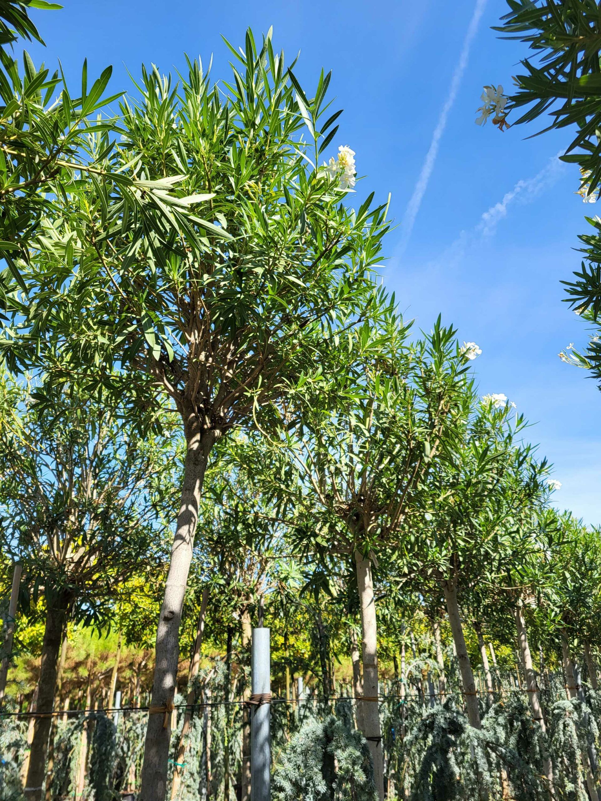 1691570306 scaled 04515a85