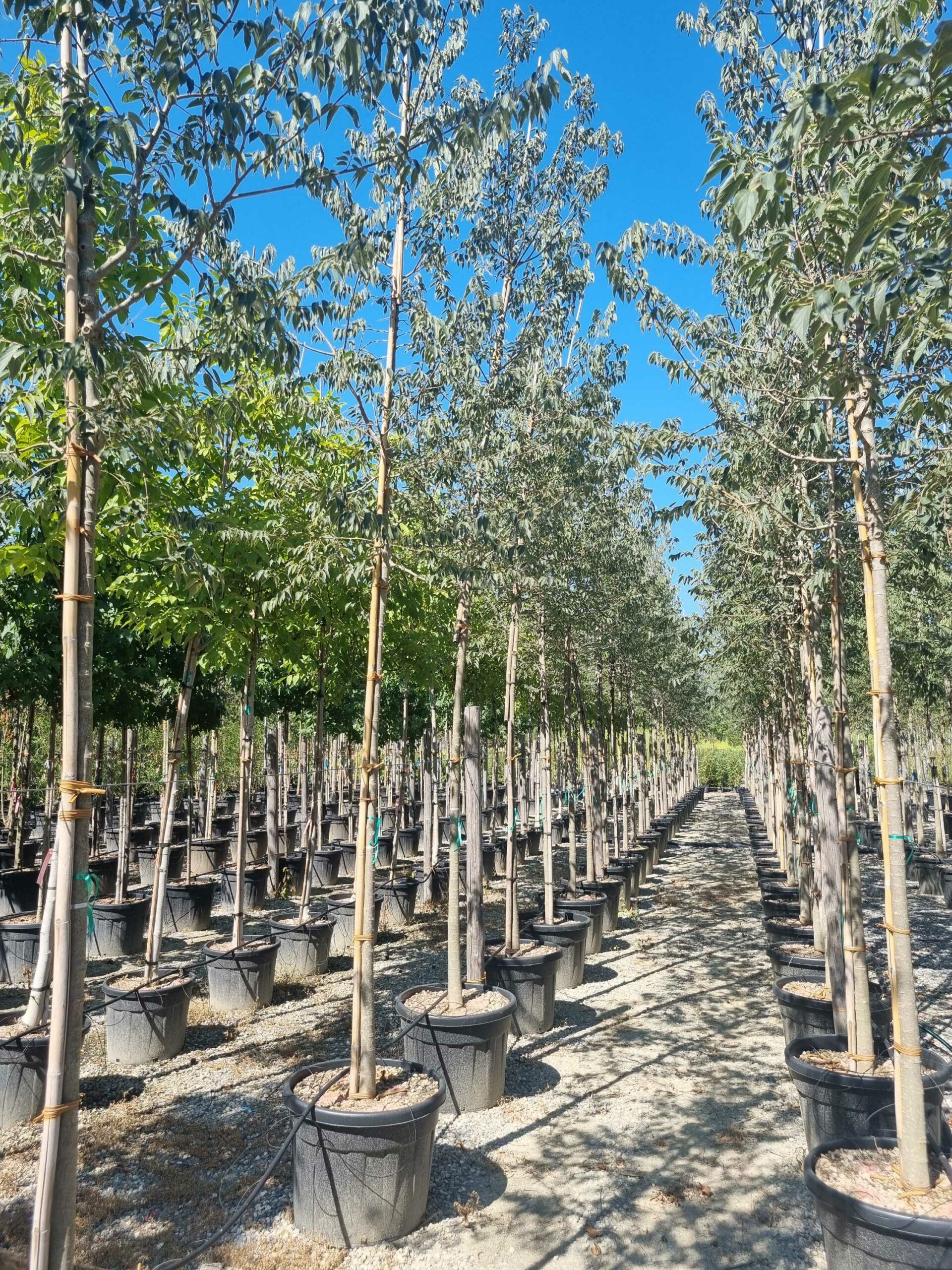 1692796847 scaled 0475f1ca