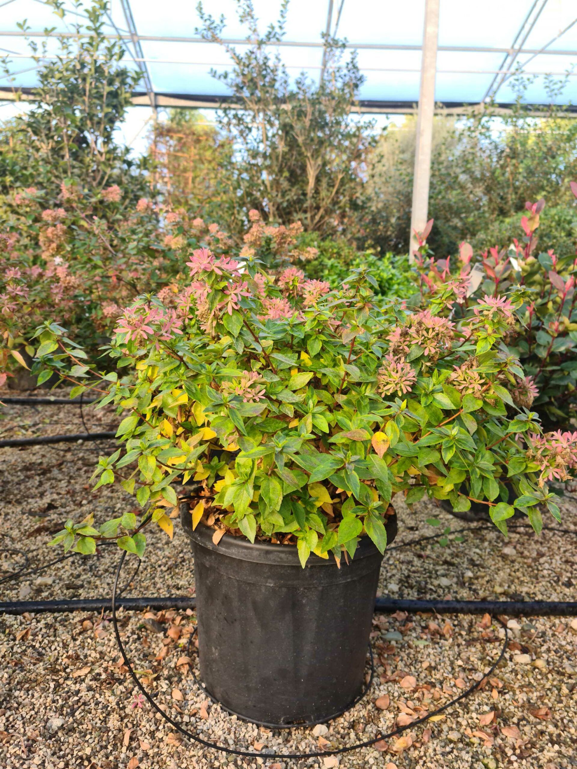 1639469081 scaled 056a1a81