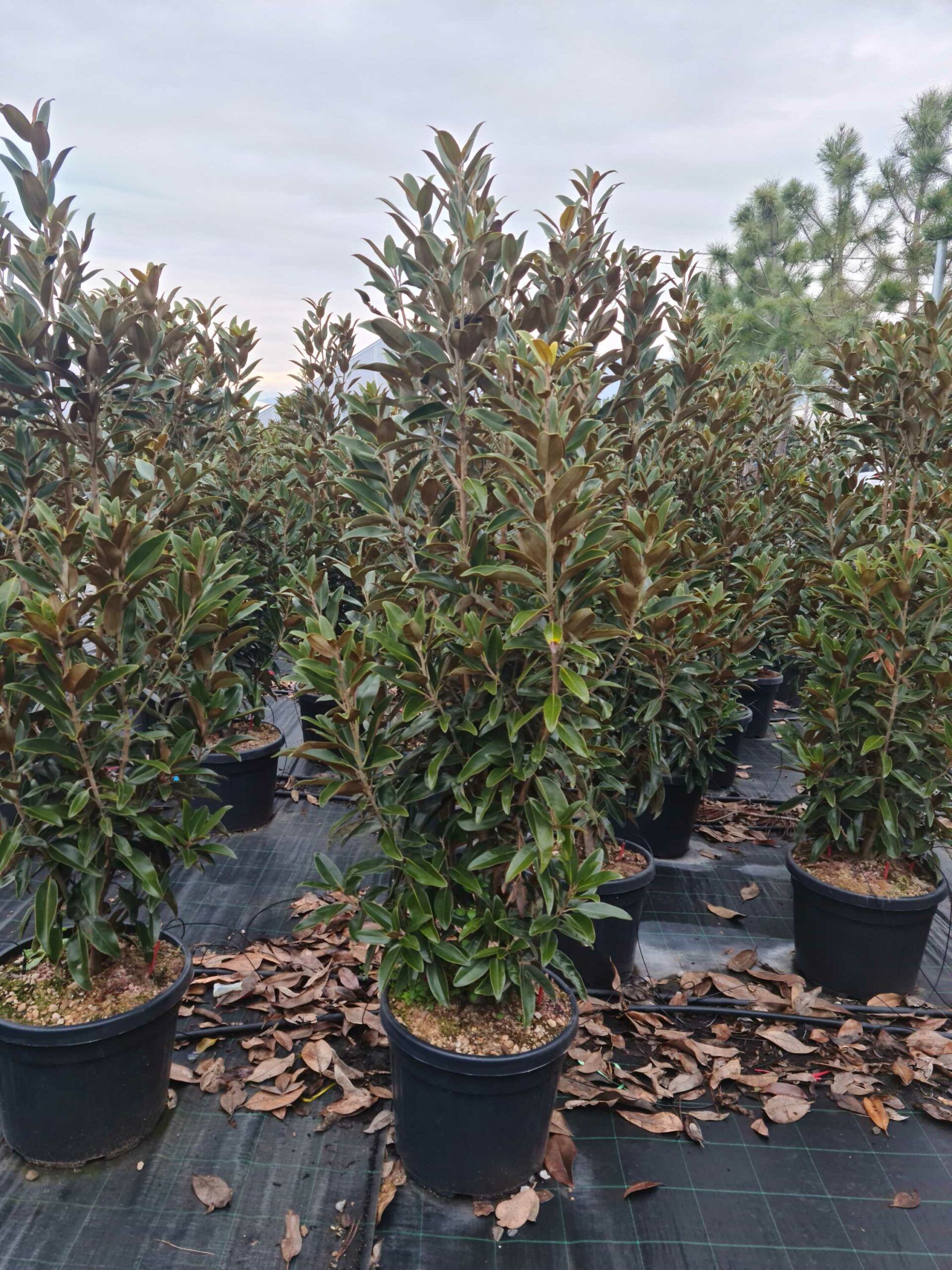 1640249722 scaled 05a2c2a6