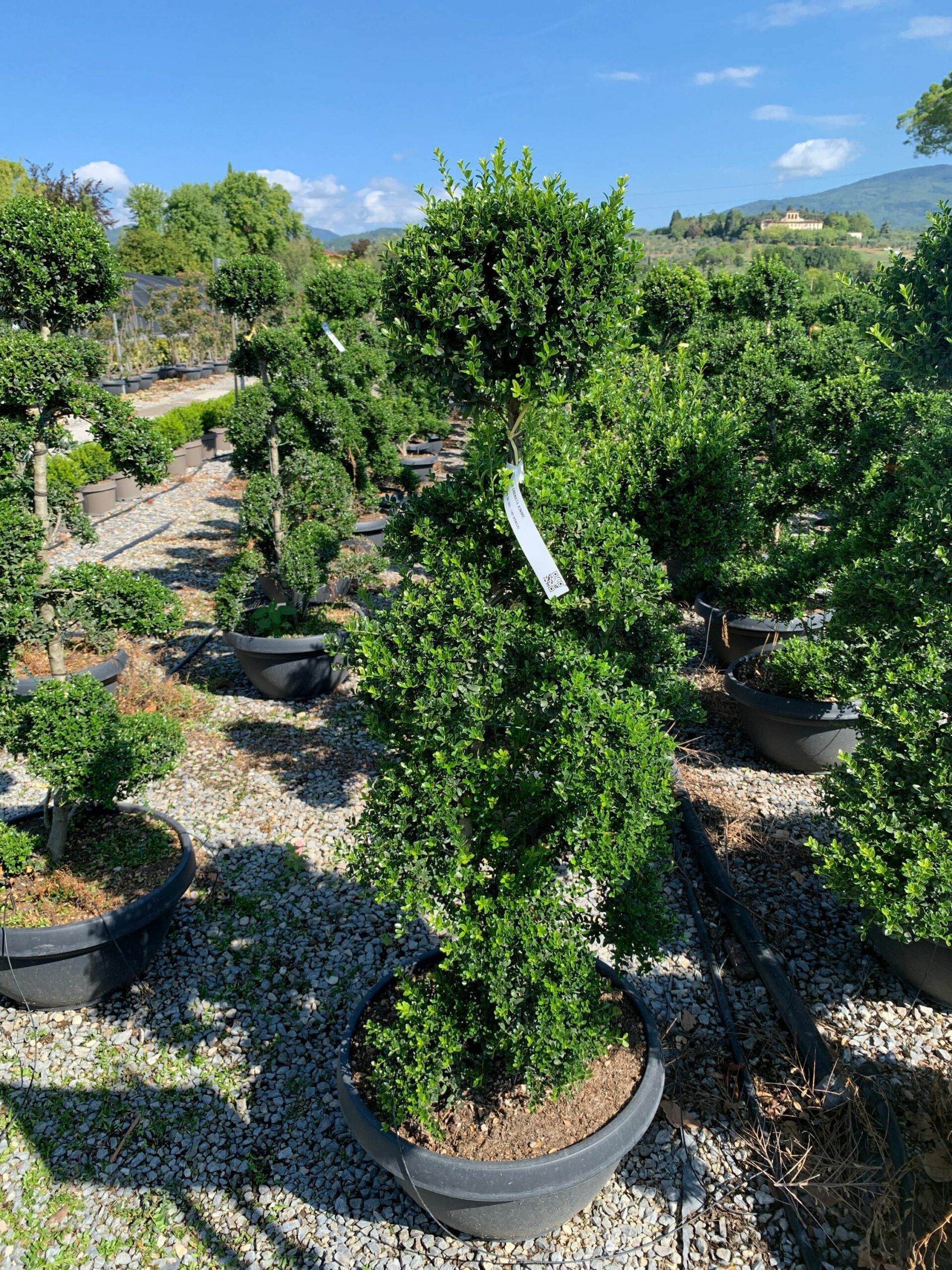 1662108934 scaled 055e7a0f