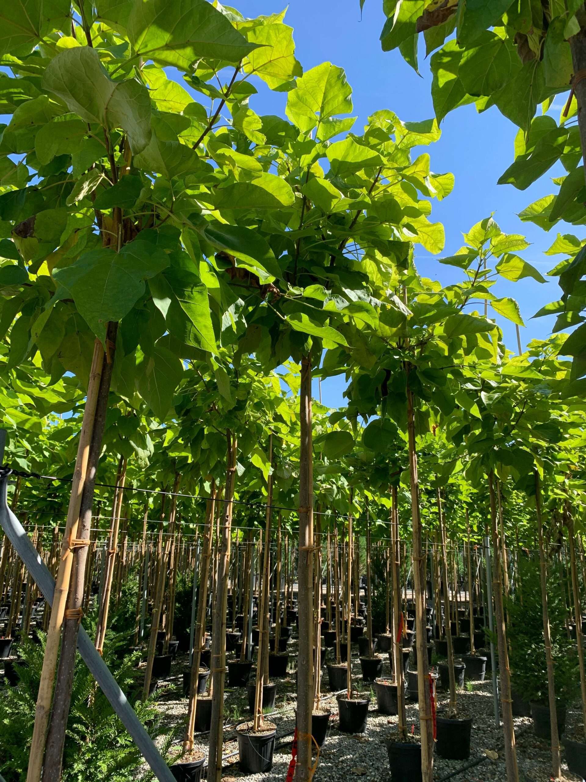 1662454785 scaled 05ba97d1