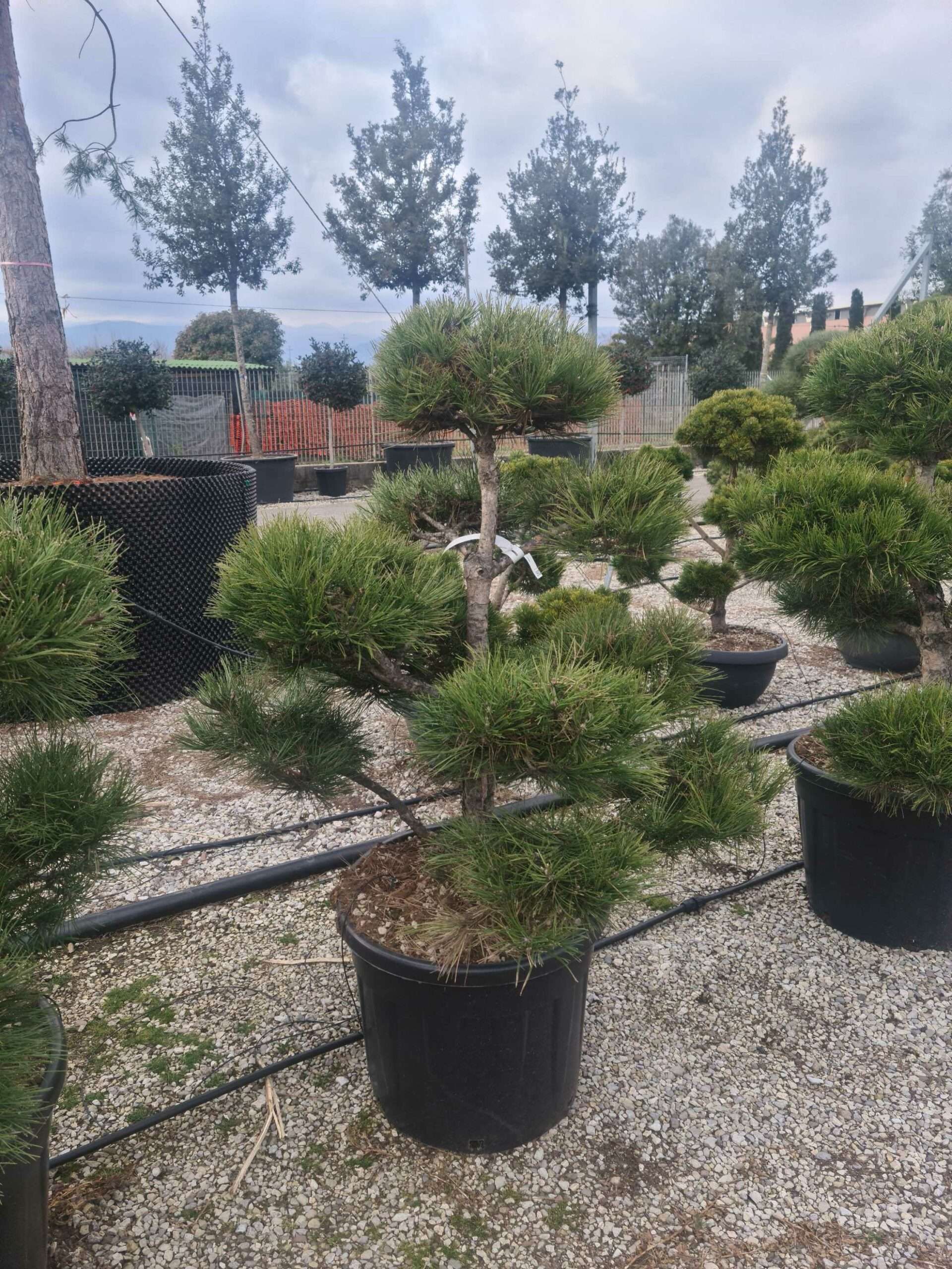 1675435181 scaled 0508bcd9