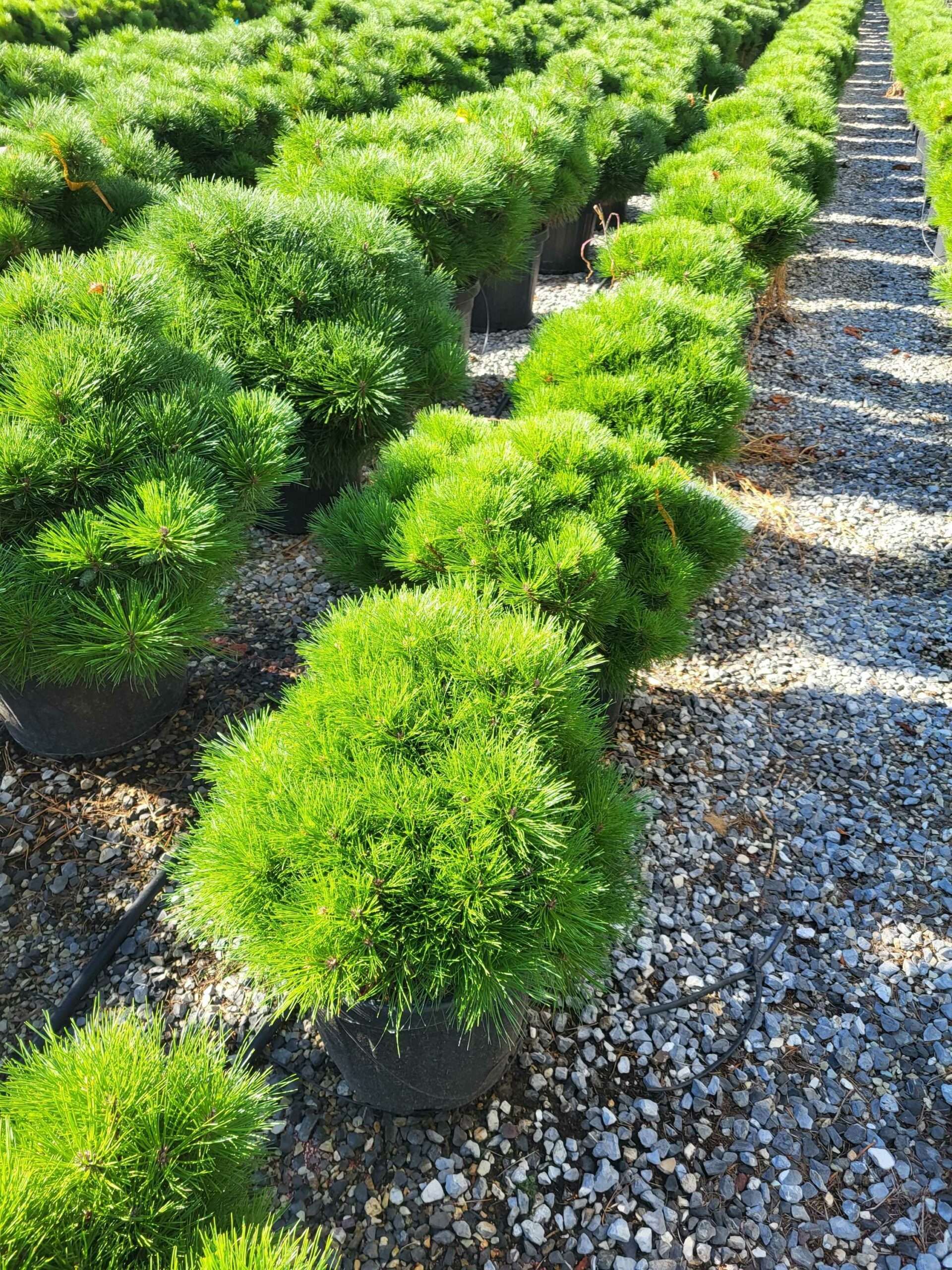 1691651753 scaled 05fc69b7