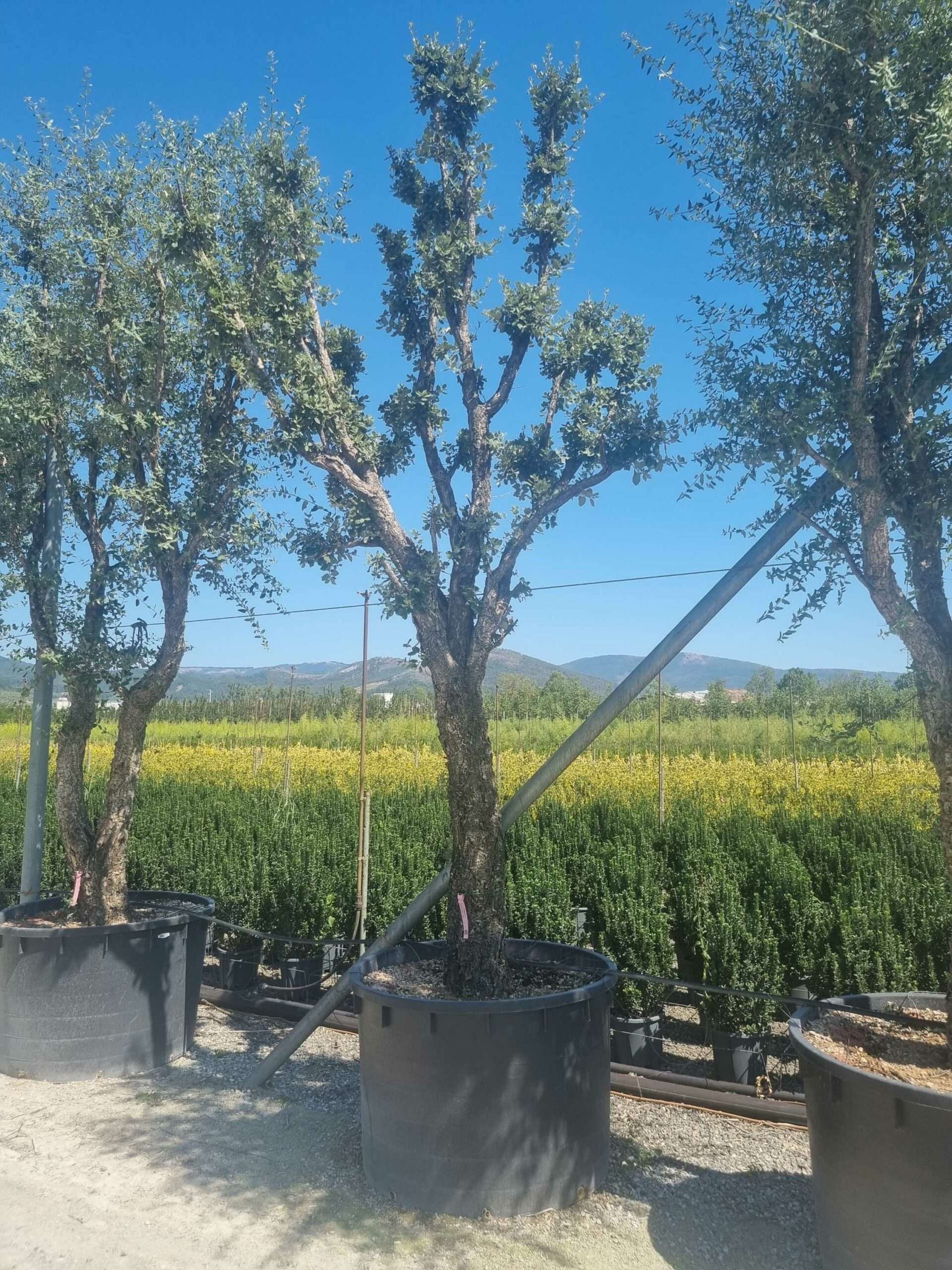 1692794676 scaled 05b5c7f1