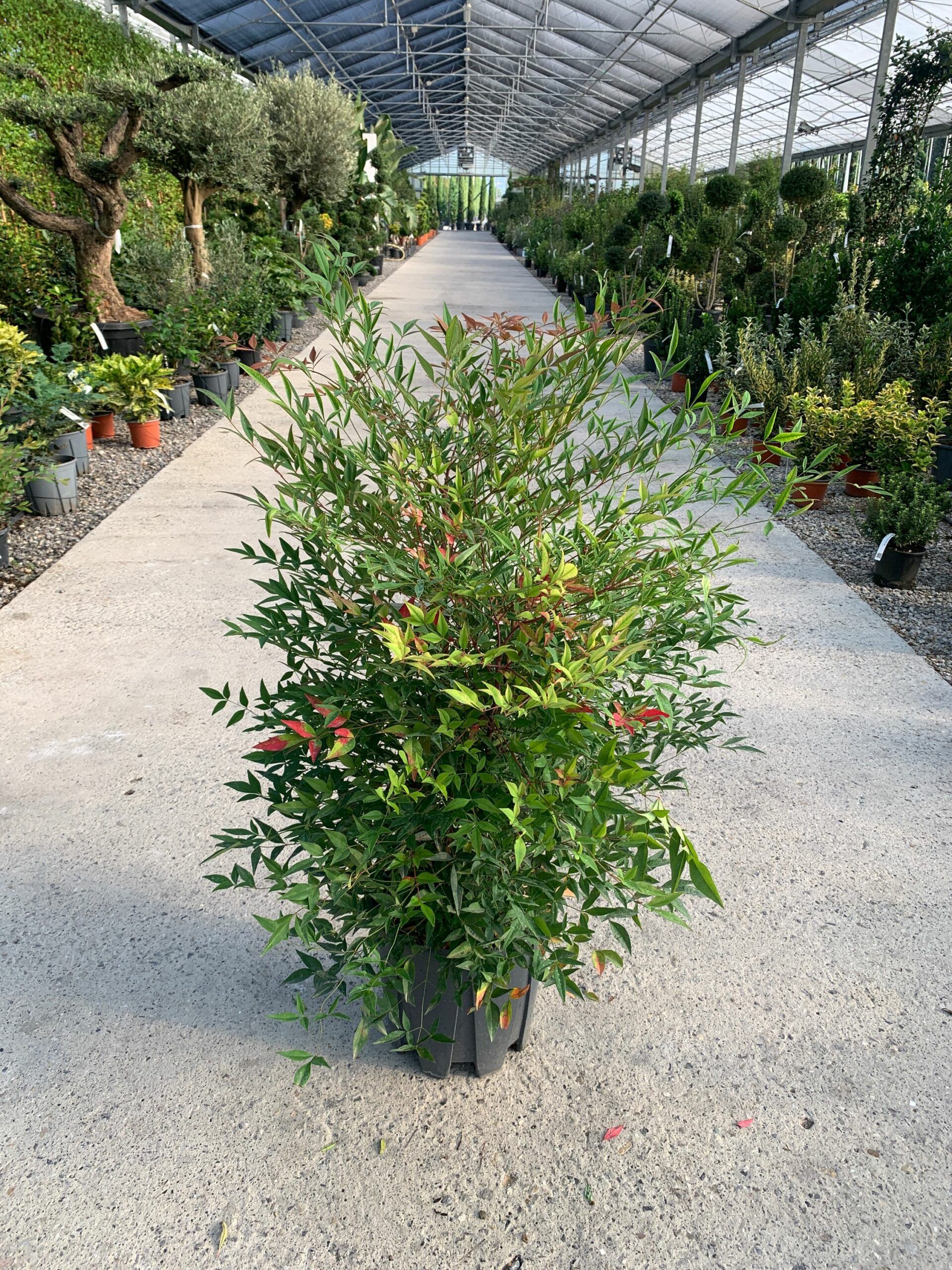 1632812950 scaled 06686229