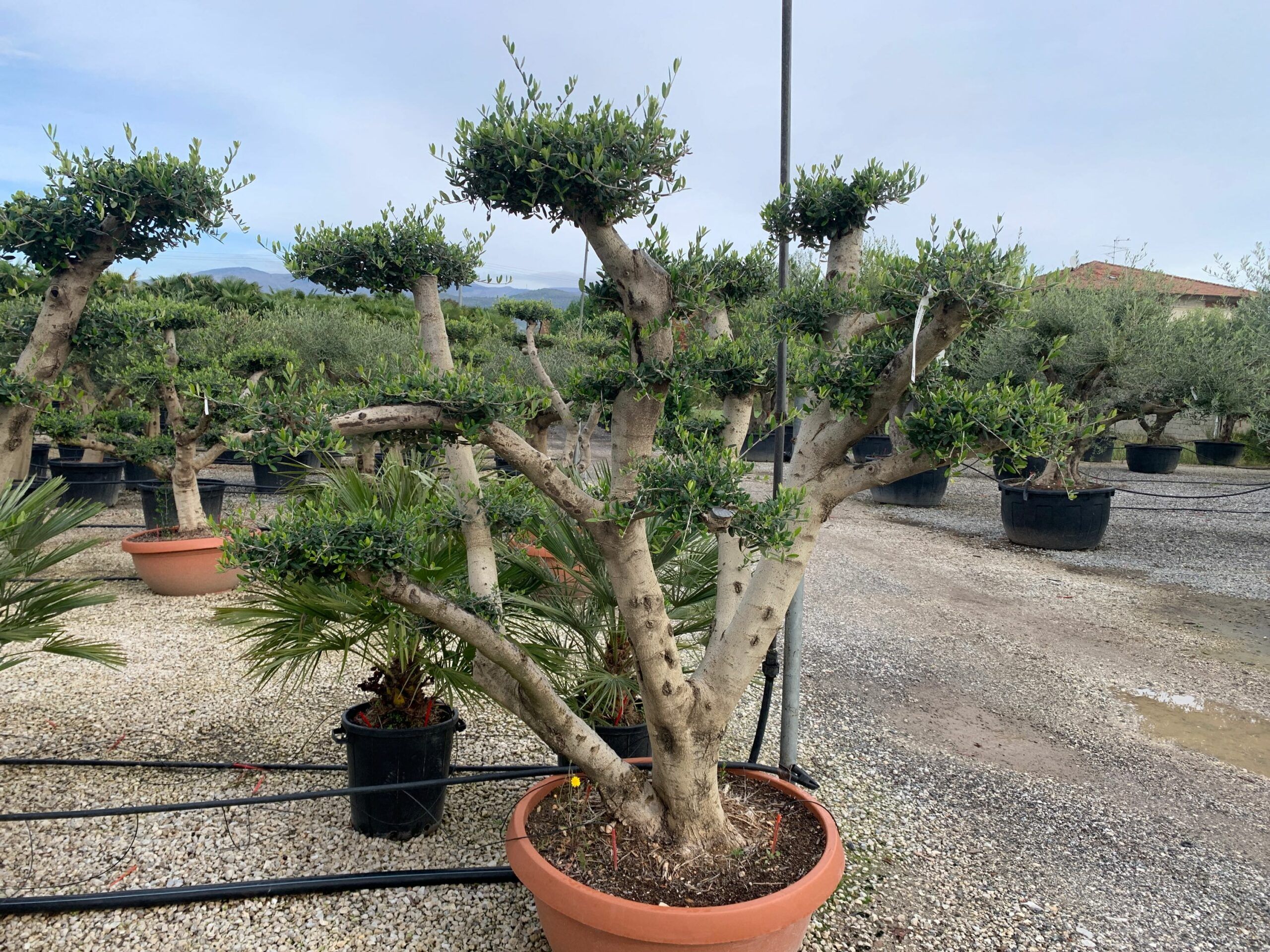 1636101938 scaled 0687b067