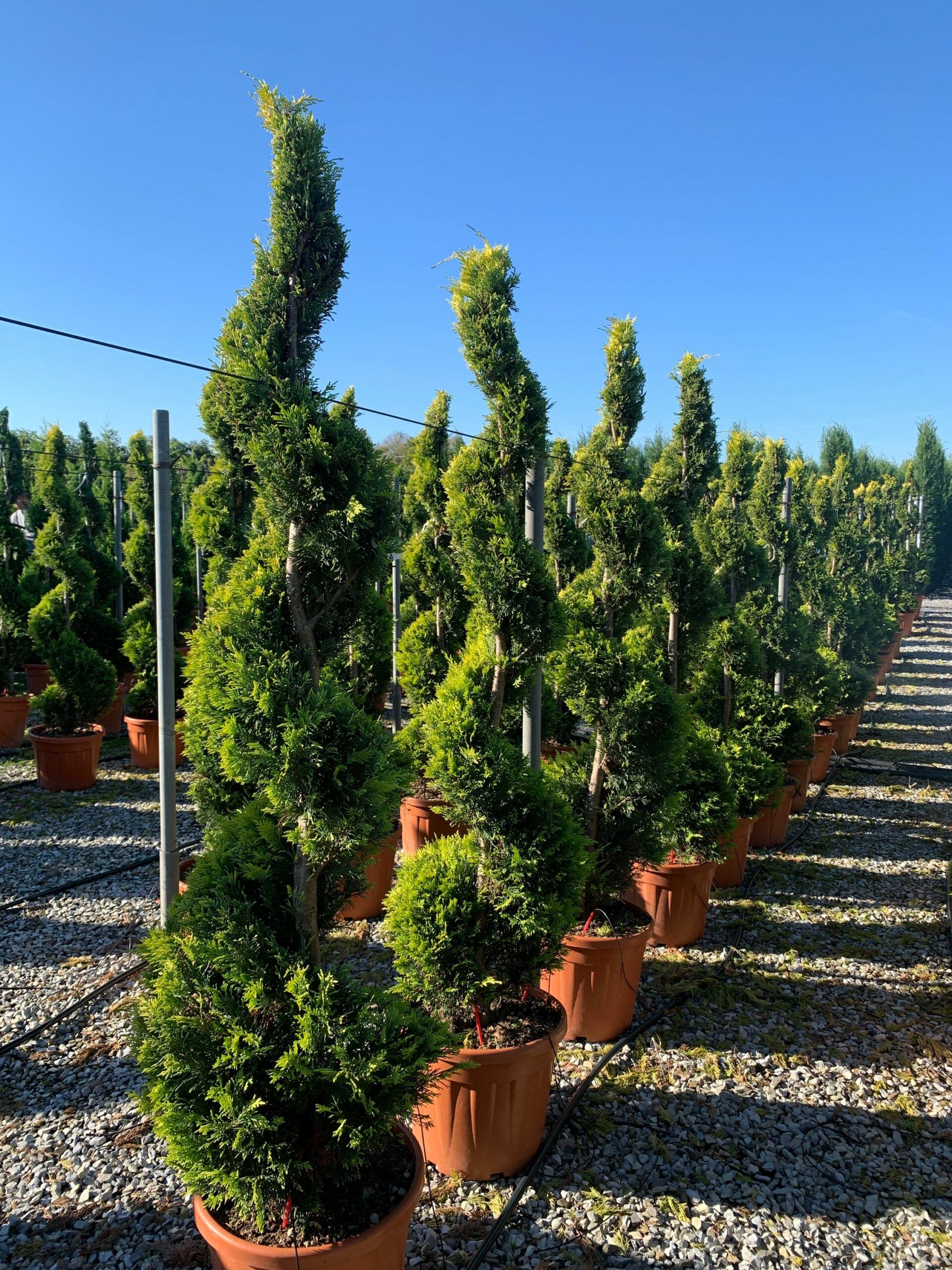 1637746959 scaled 06ca86a8