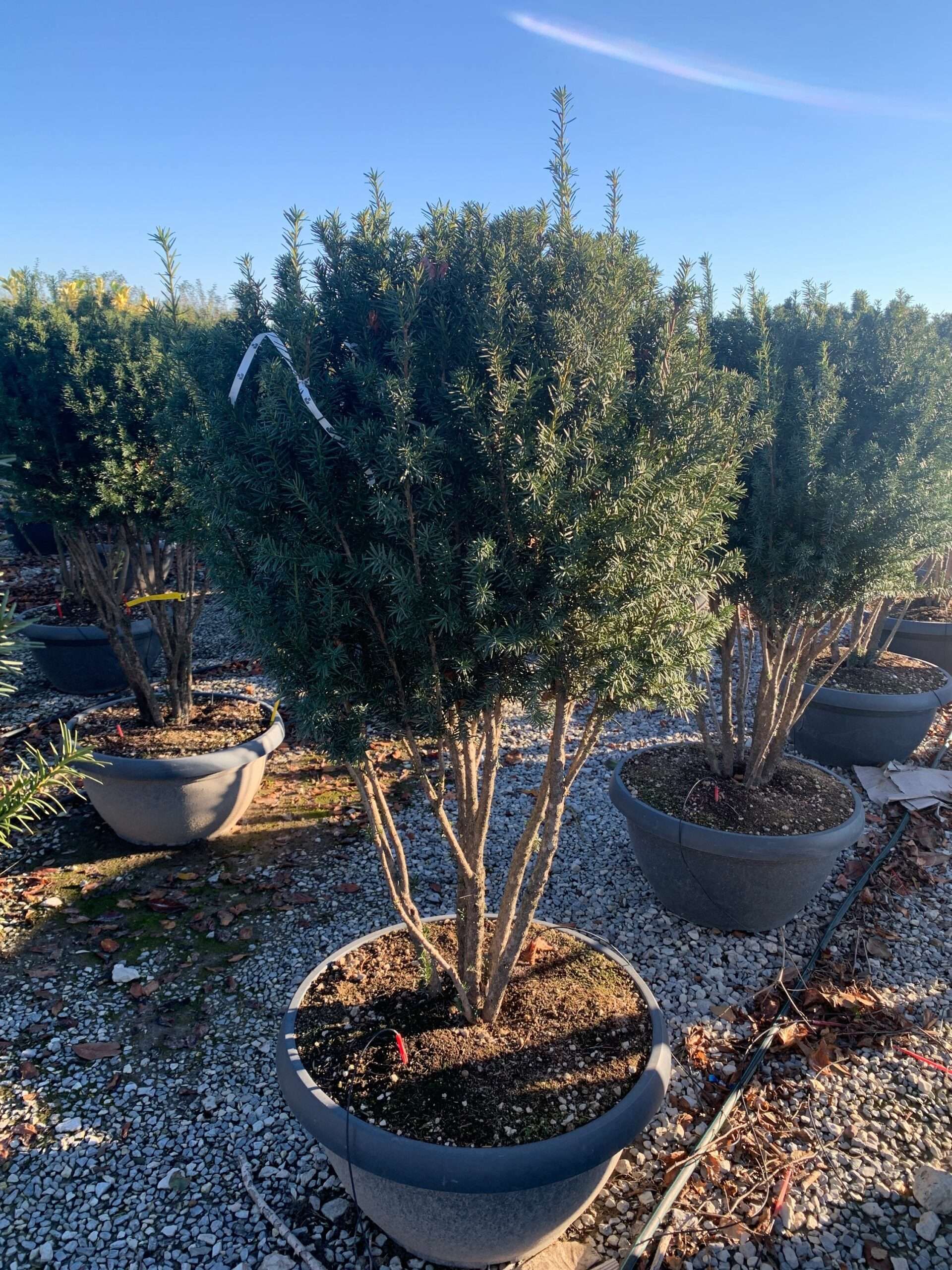 1638885018 scaled 06c688d5