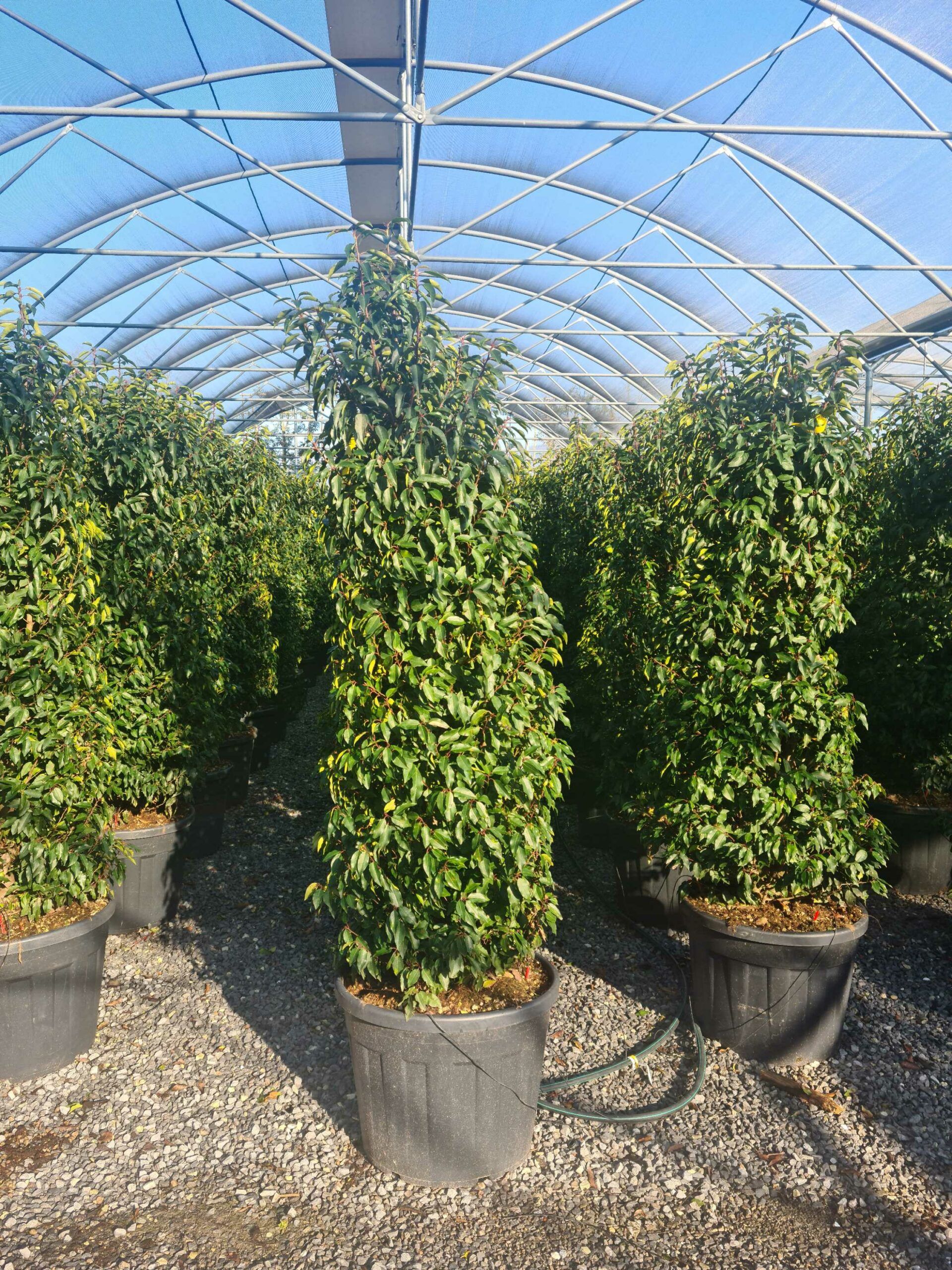 1642758630 scaled 061dc77c