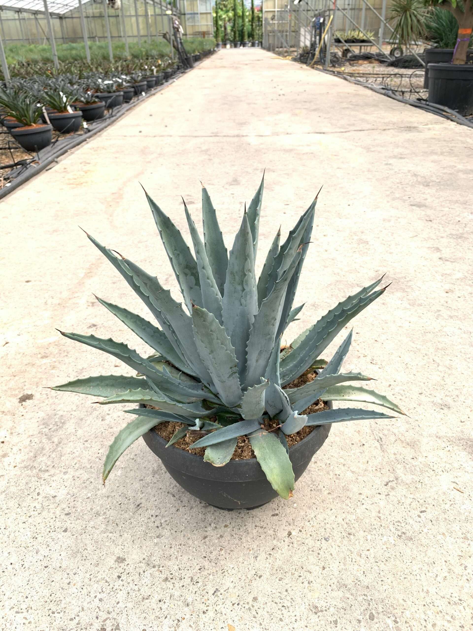 1659601221 scaled 06c82c1c